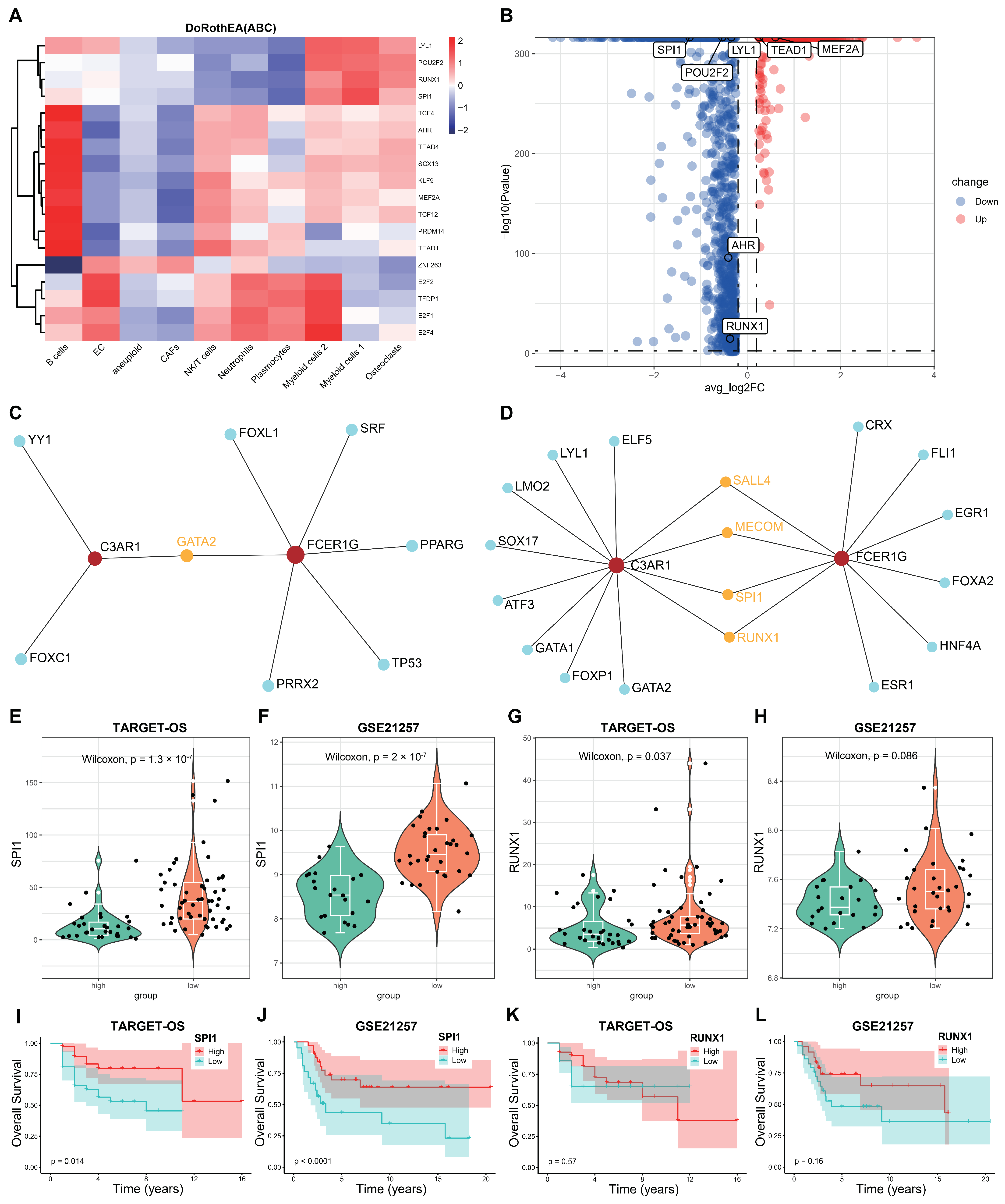 Biomedicines 12 01513 g010