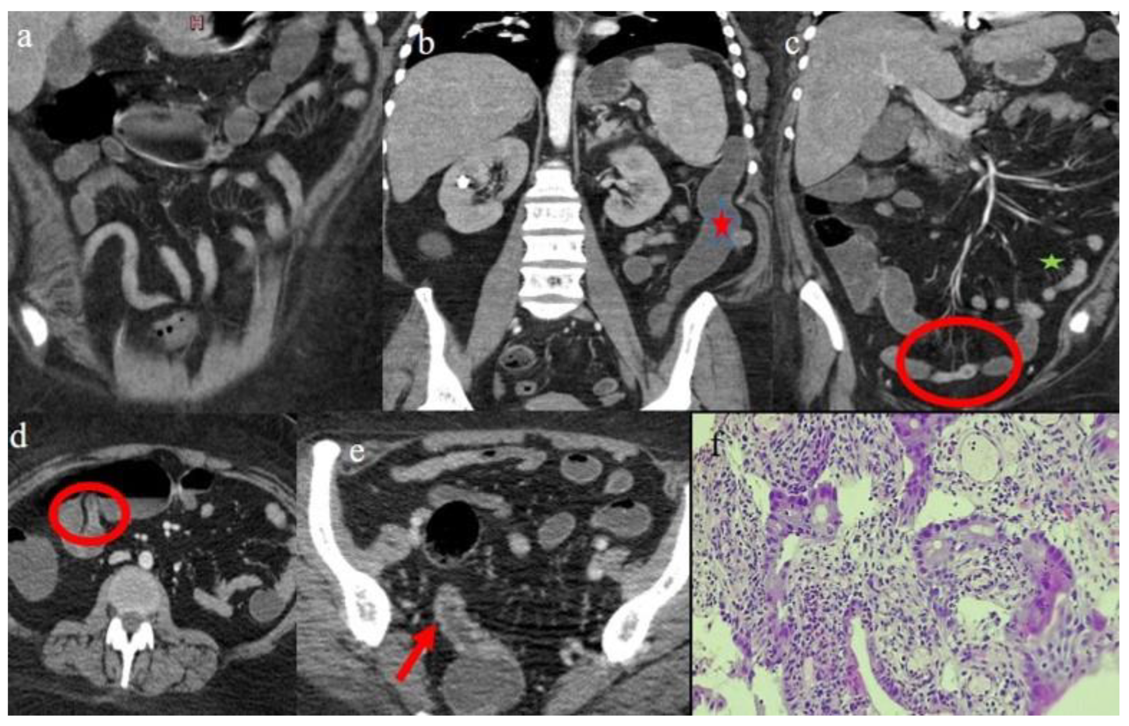 Biomedicines 12 01516 g001