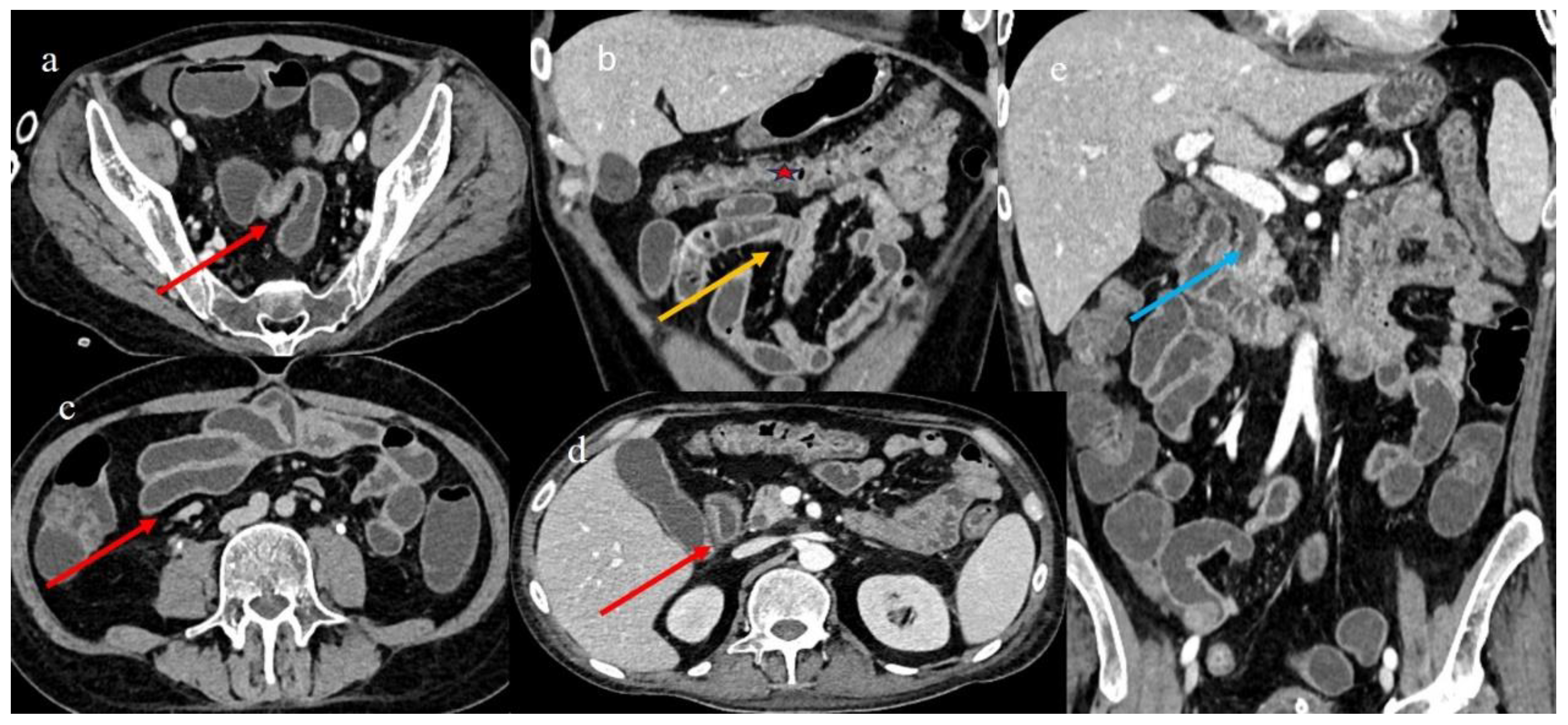 Biomedicines 12 01516 g007