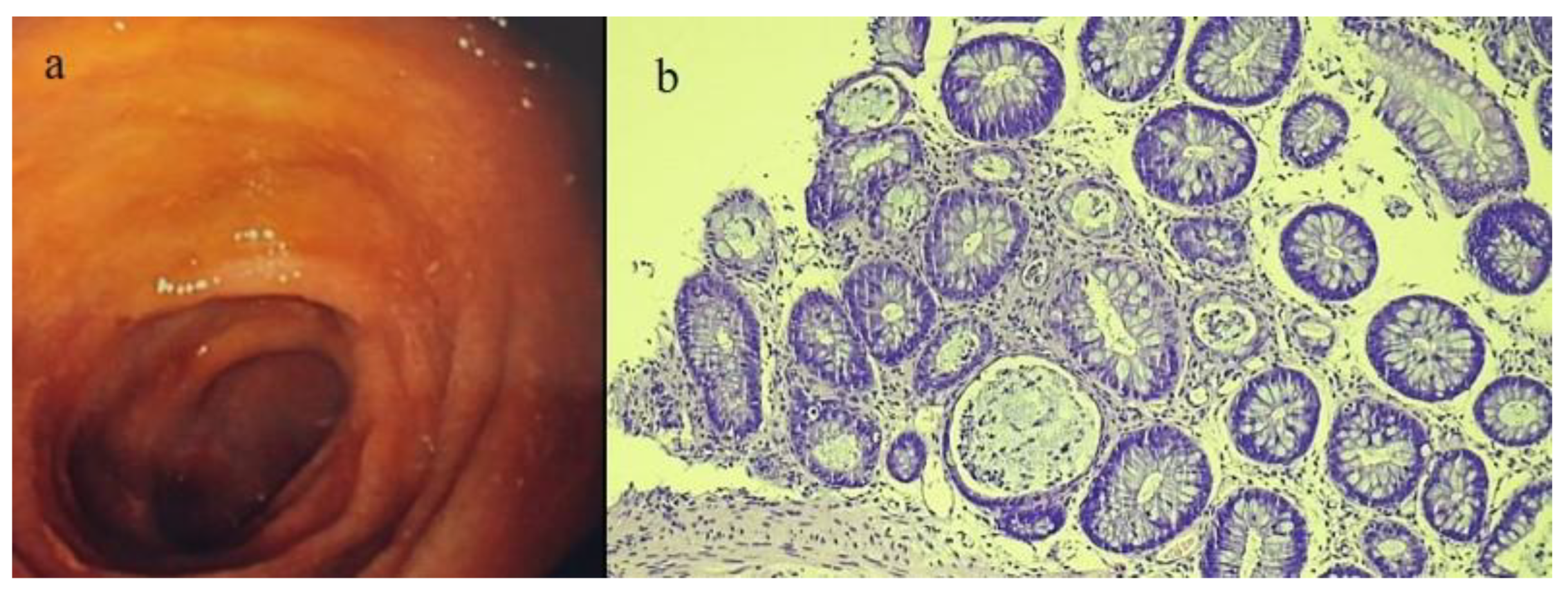 Biomedicines 12 01516 g008