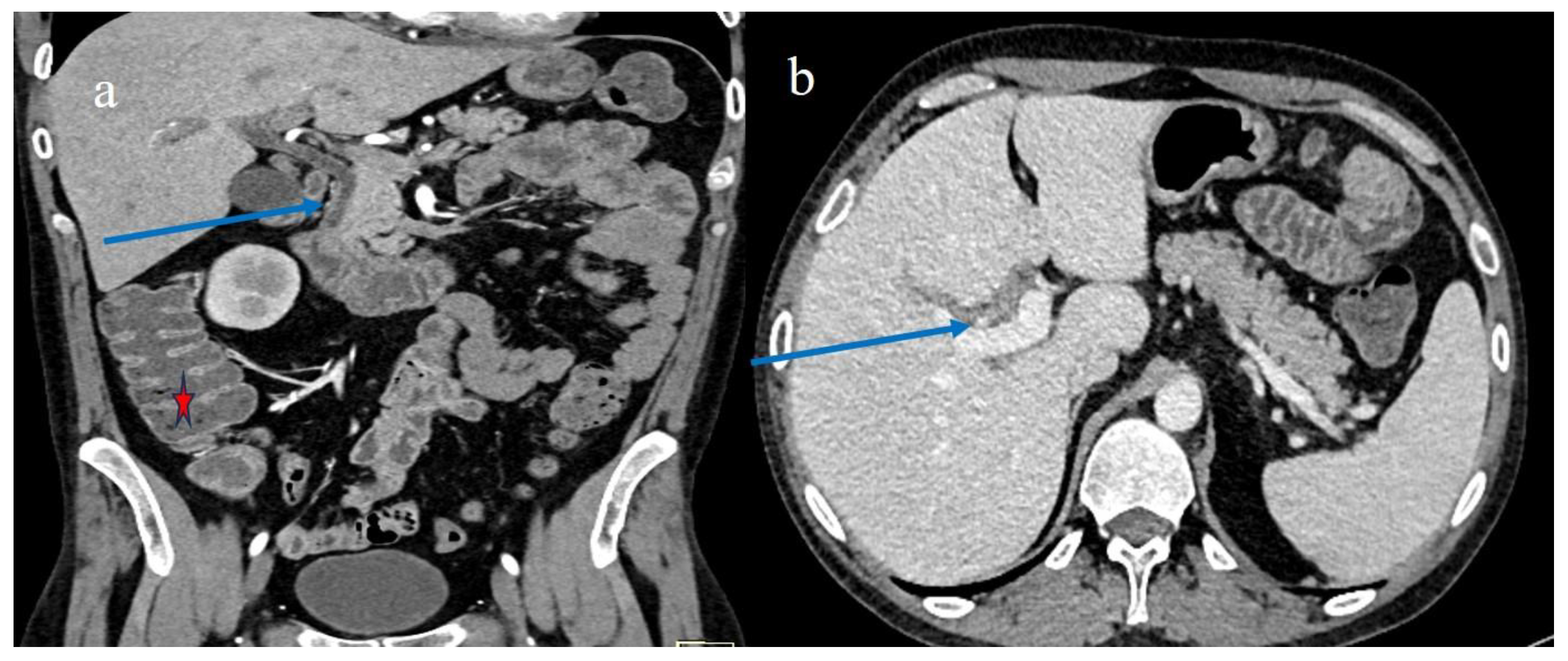 Biomedicines 12 01516 g009