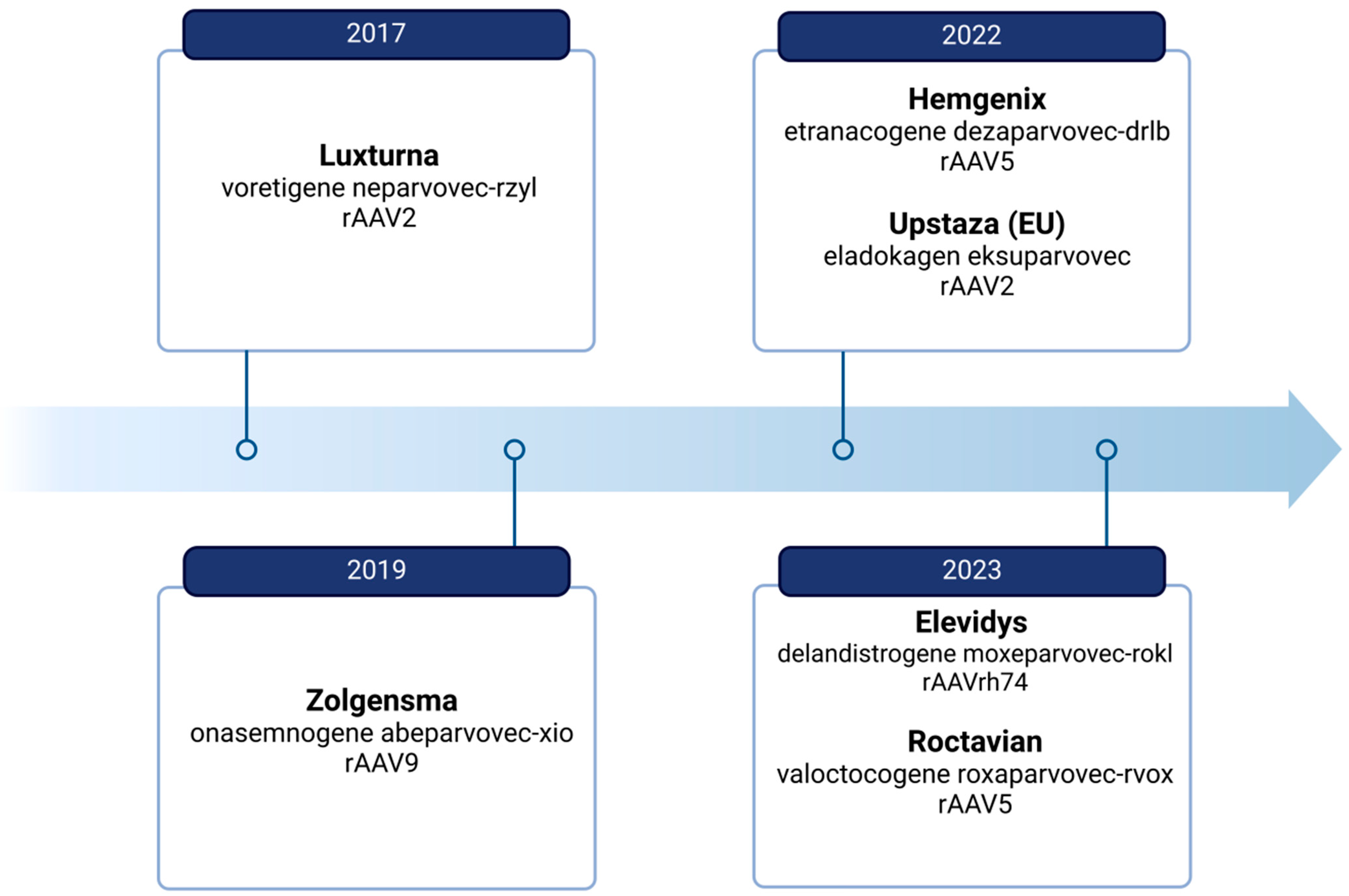 Biomedicines 12 01523 g001