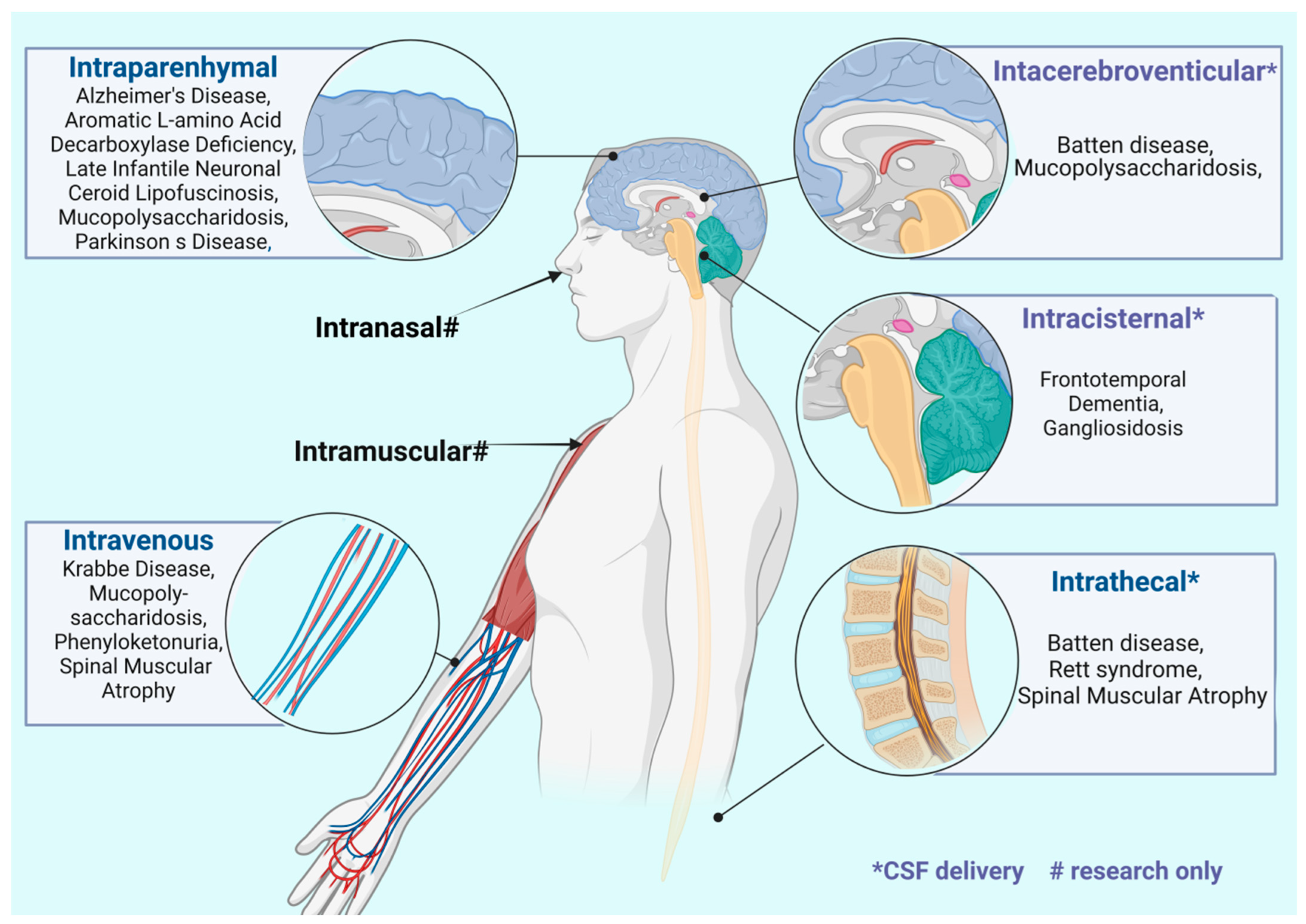 Biomedicines 12 01523 g002