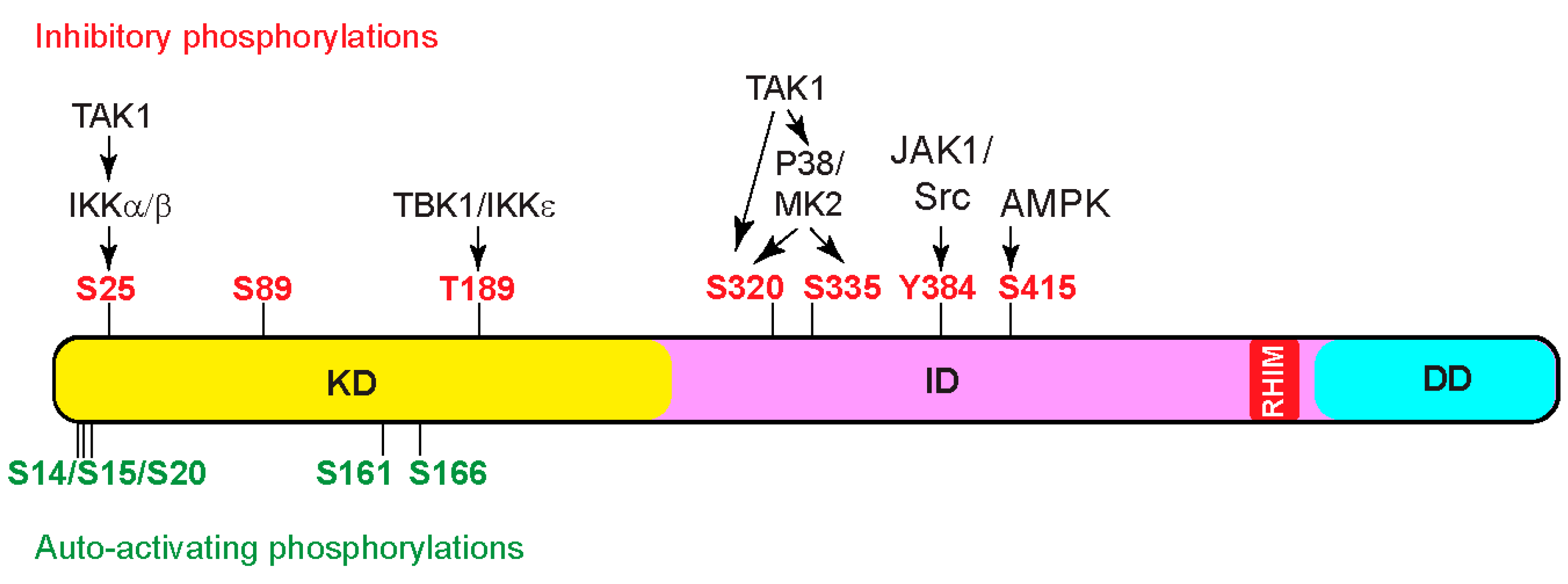 Biomedicines 12 01525 g003