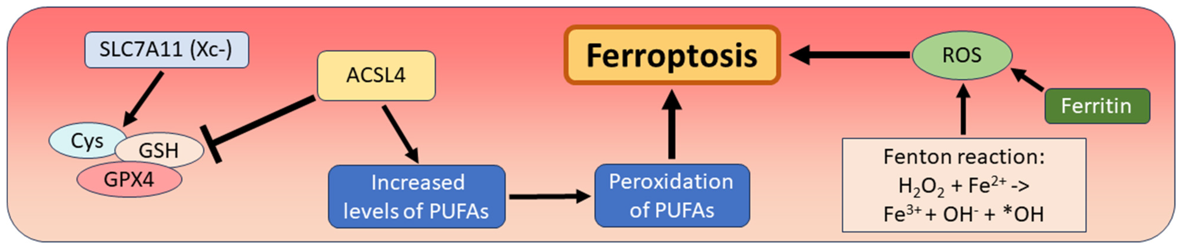 Biomedicines 12 01546 g002