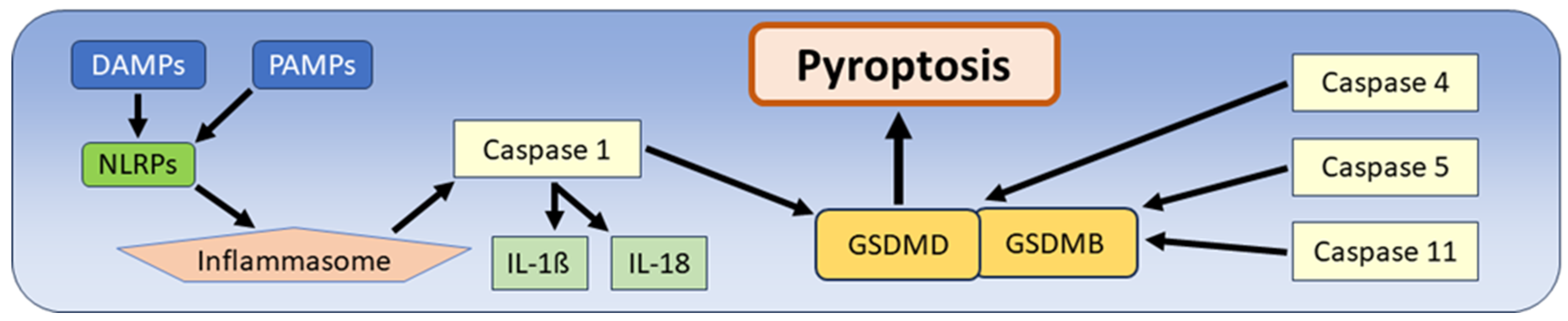 Biomedicines 12 01546 g003