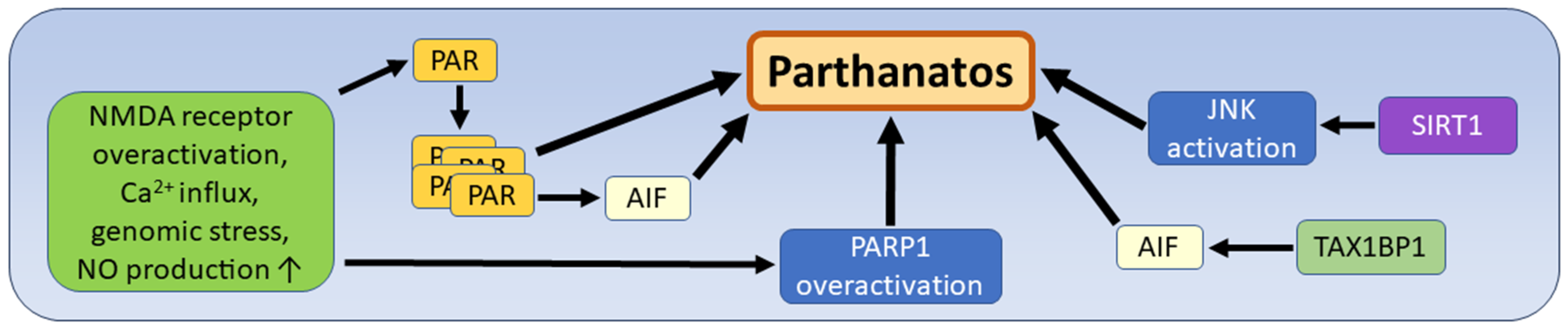 Biomedicines 12 01546 g008