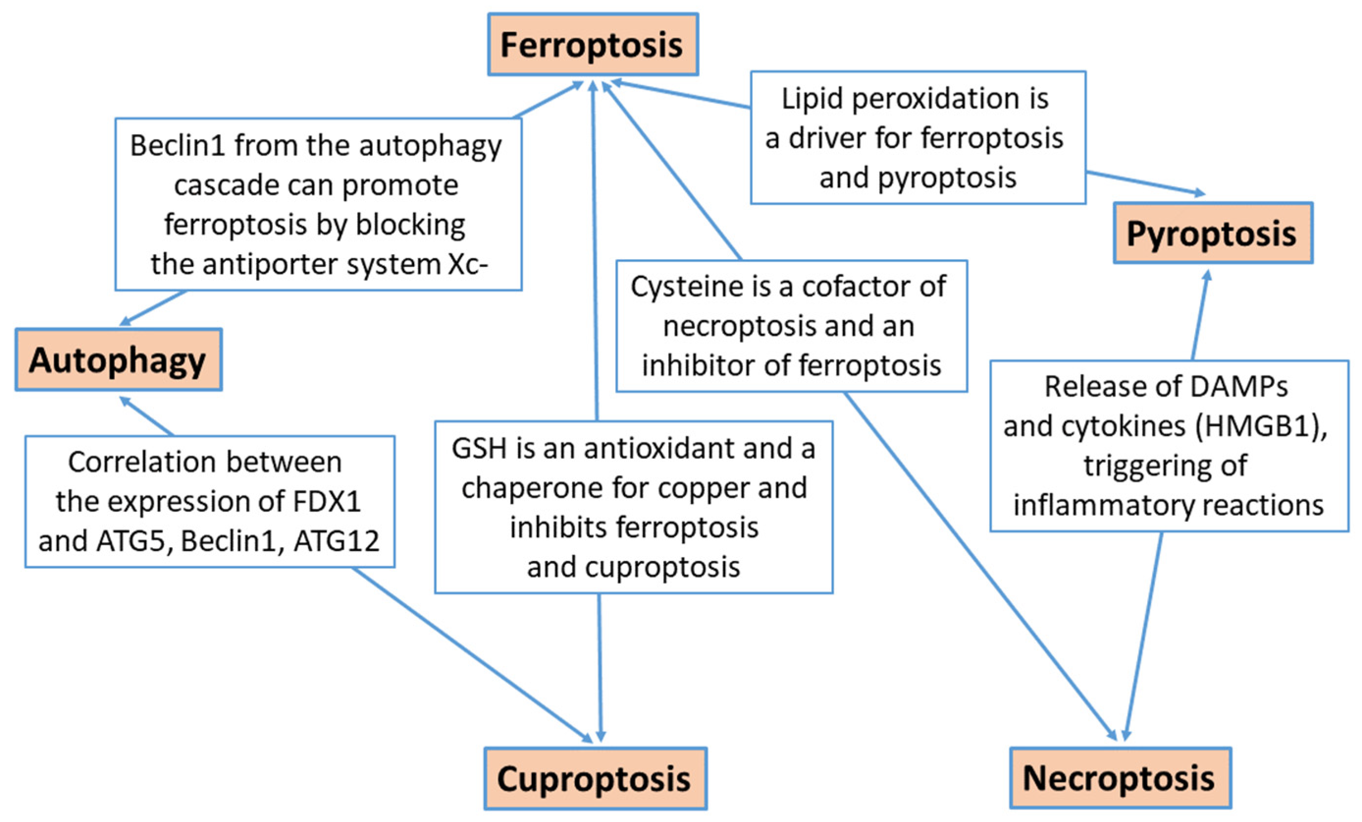 Biomedicines 12 01546 g010