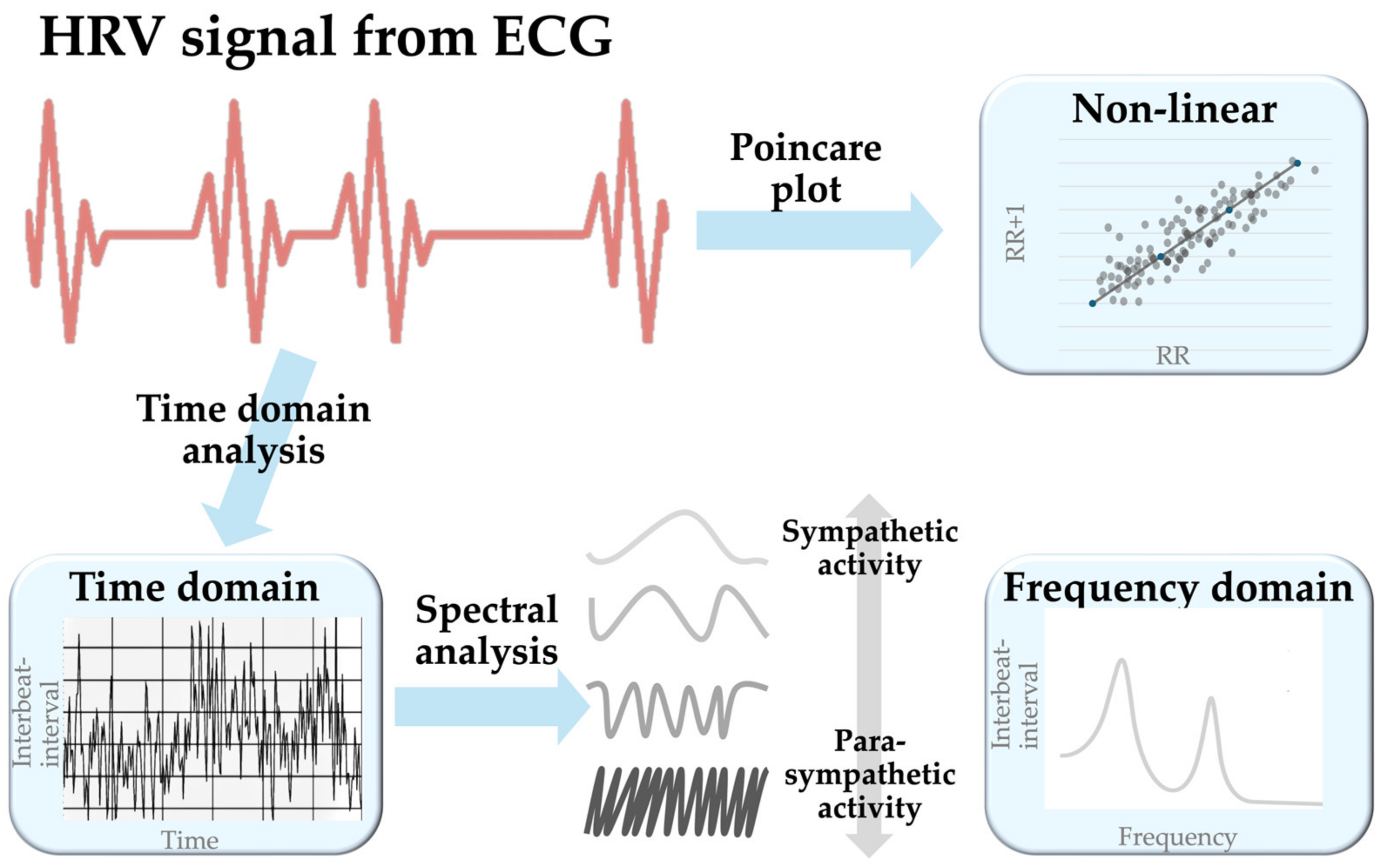 Biomedicines 12 01547 g001 Biomedicines 12 01547 g001