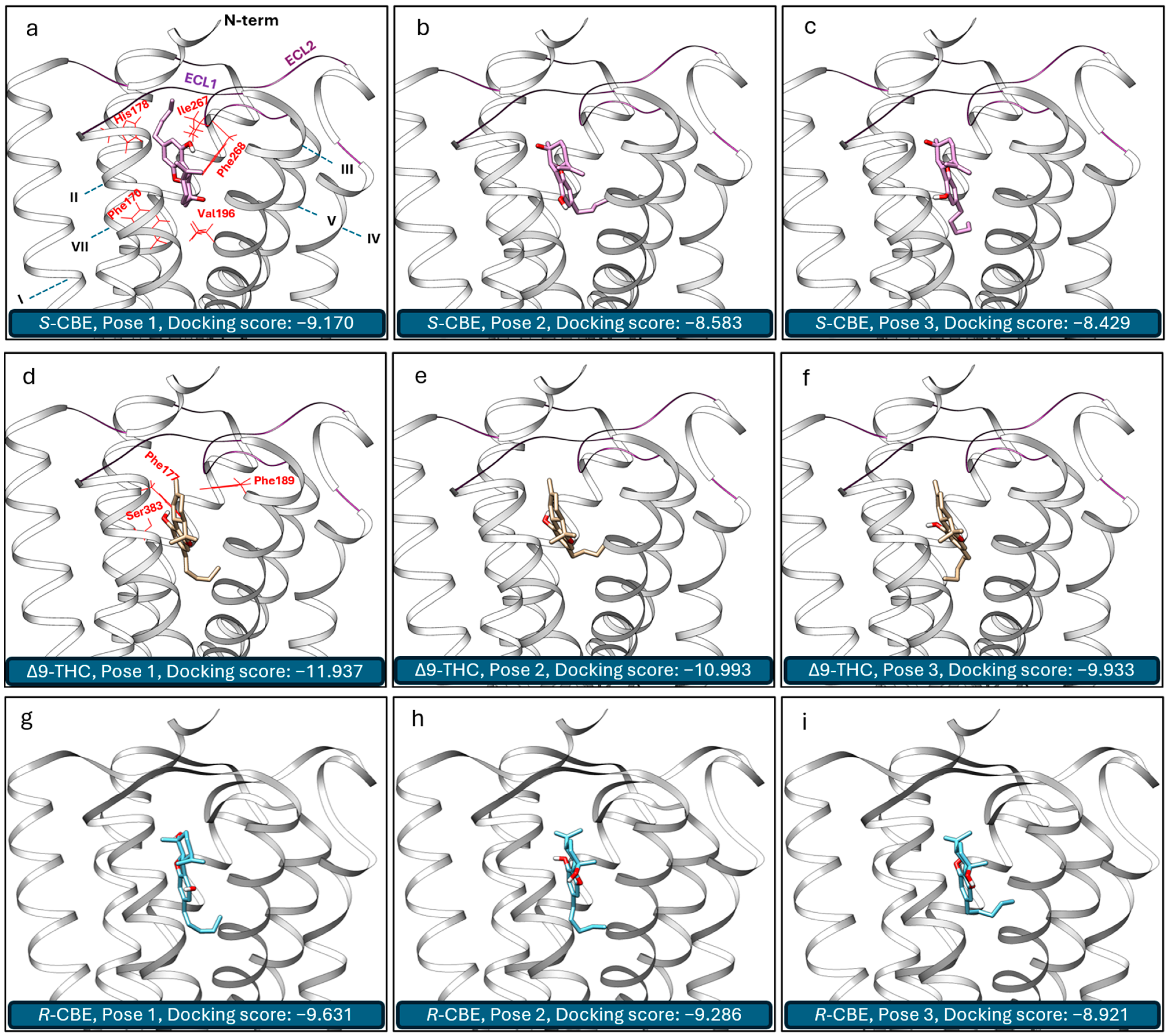 Biomedicines 12 01551 g005