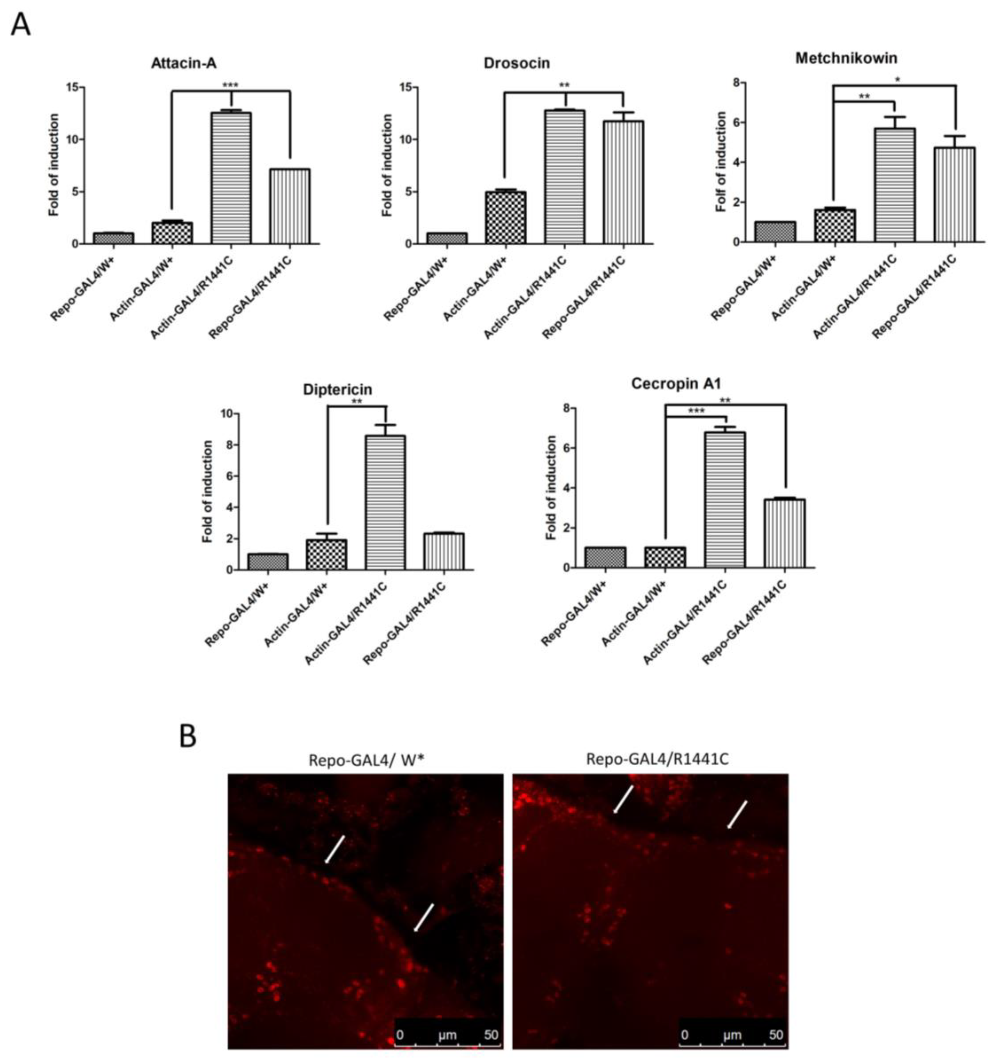 Biomedicines 12 01555 g003