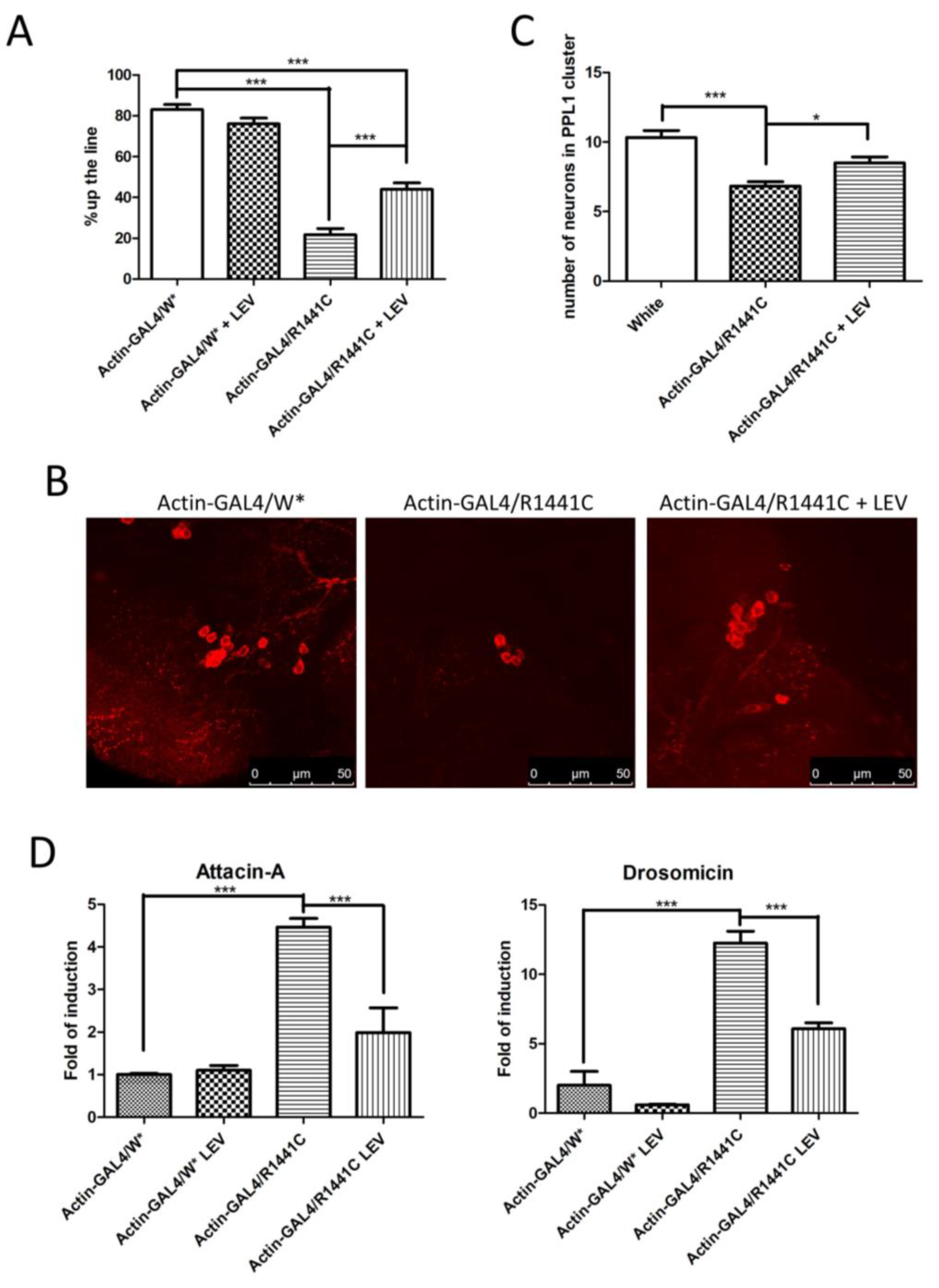 Biomedicines 12 01555 g004