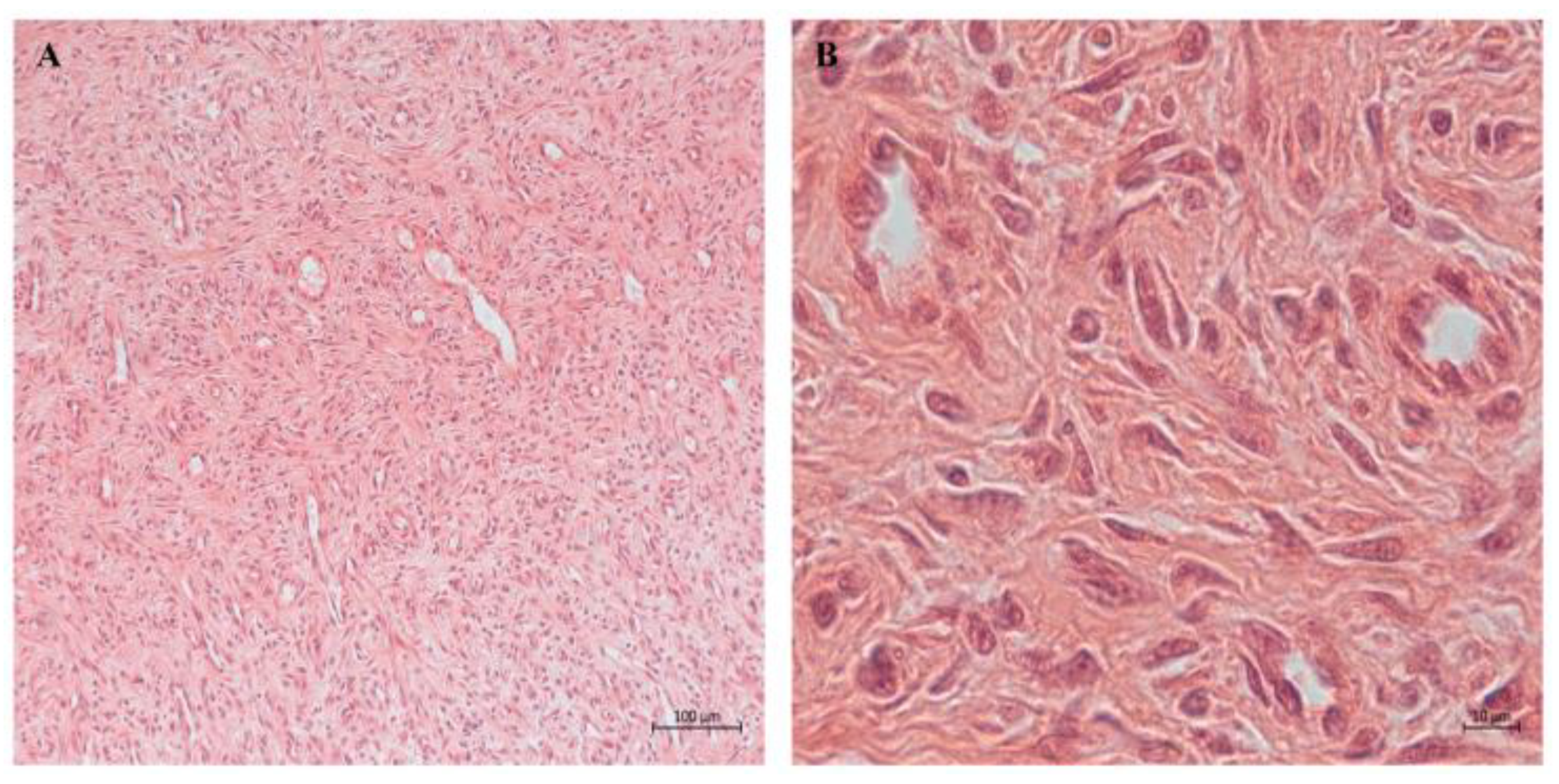 Biomedicines 12 01586 g005