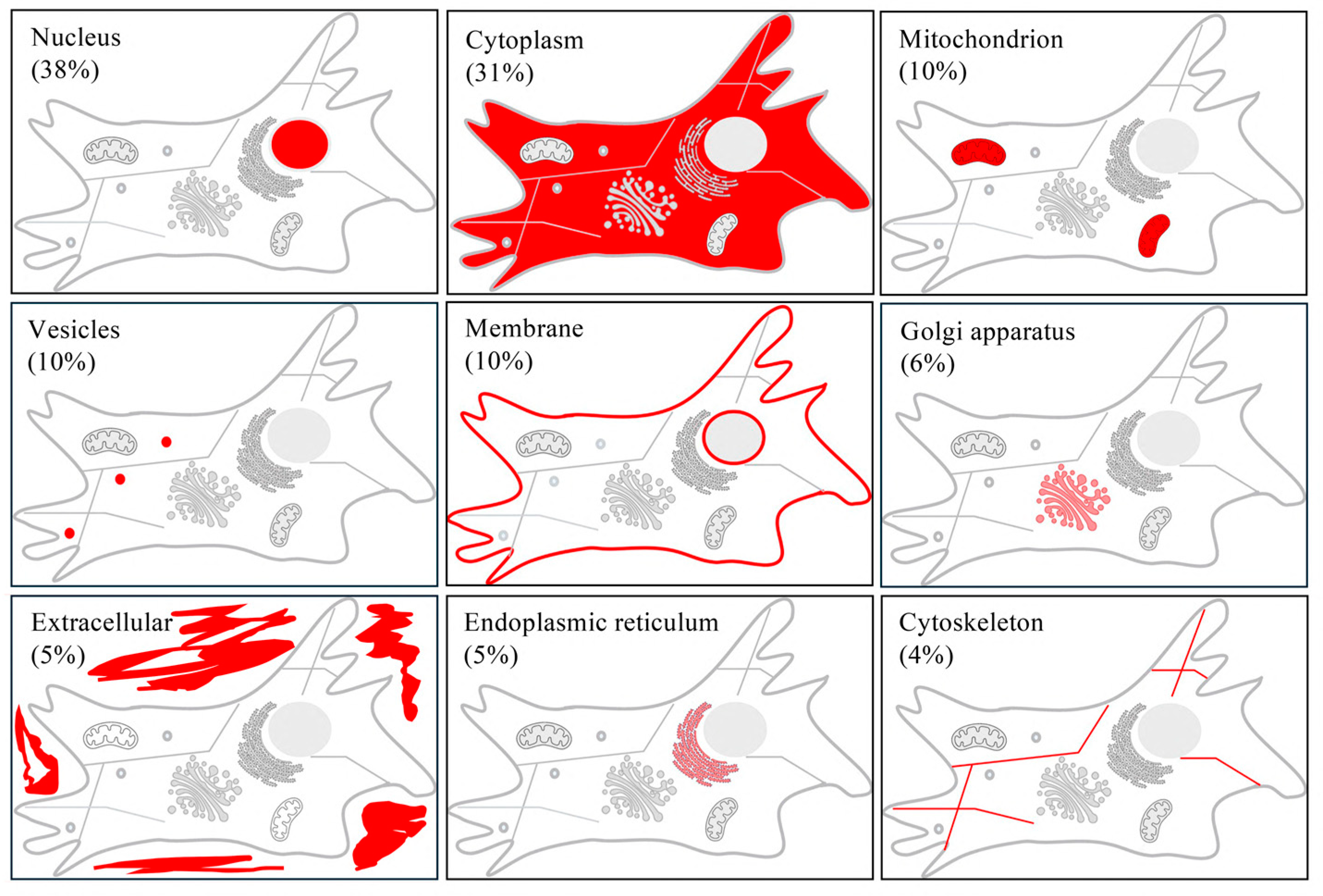 Biomedicines 12 01586 g008