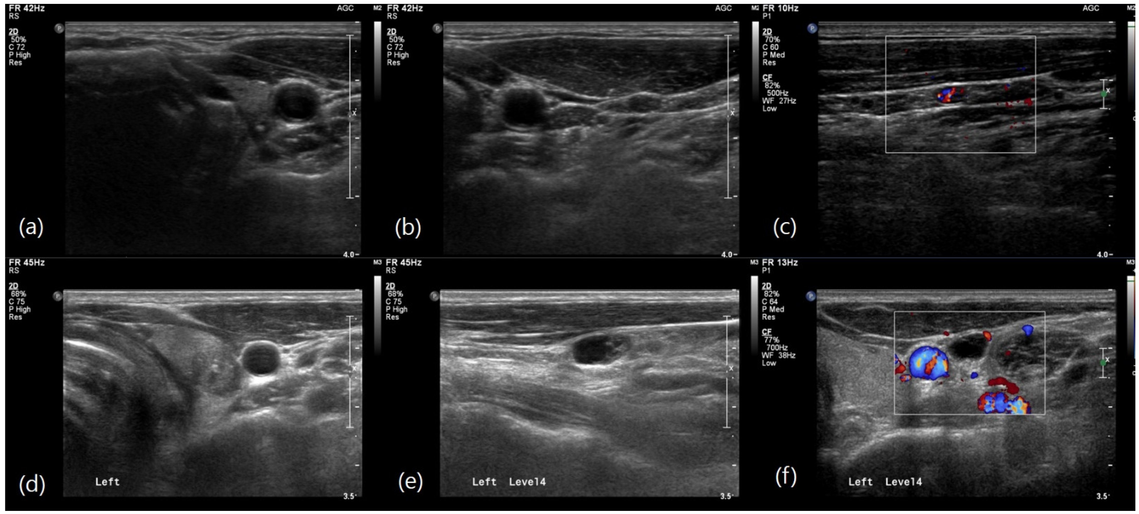 Biomedicines 12 01588 g002