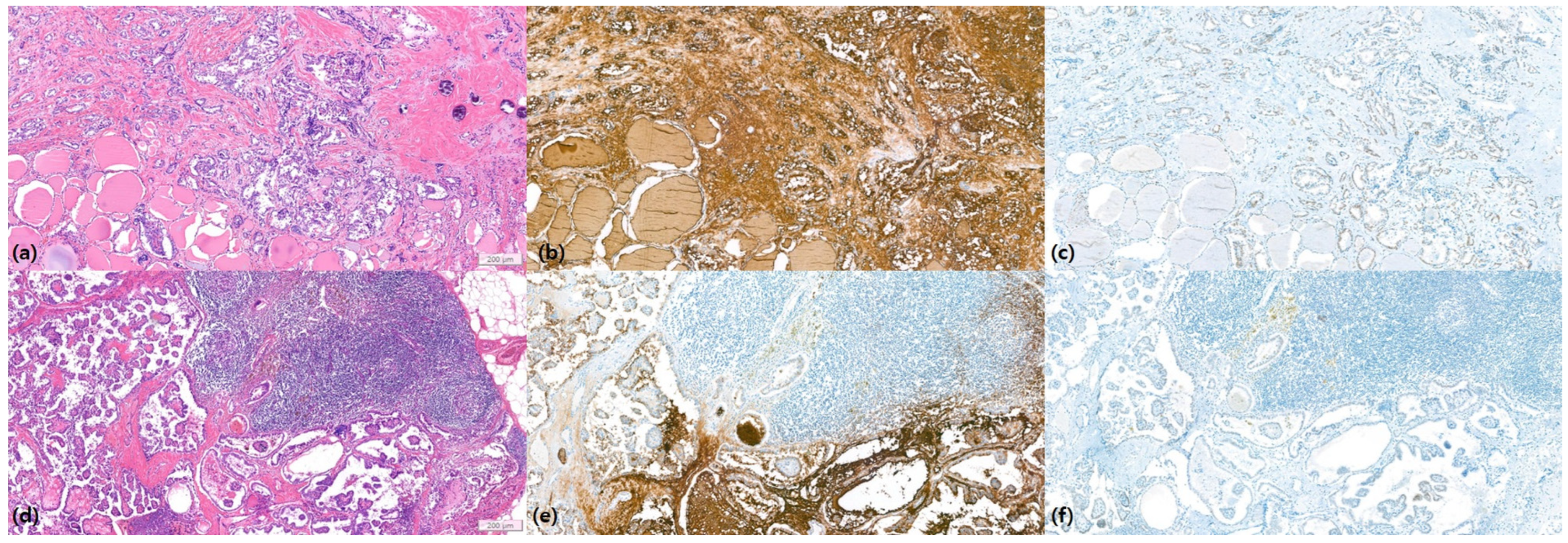 Biomedicines 12 01588 g003