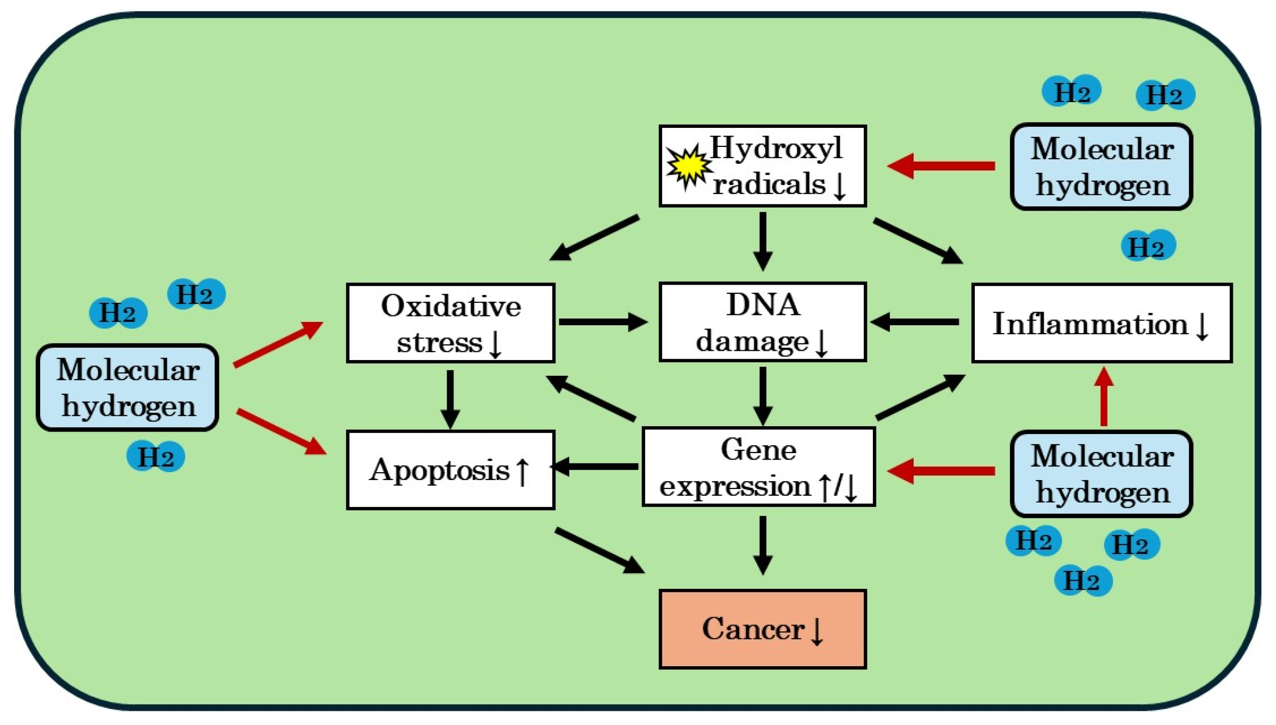 Biomedicines 12 01591 g003 Biomedicines 12 01591 g003