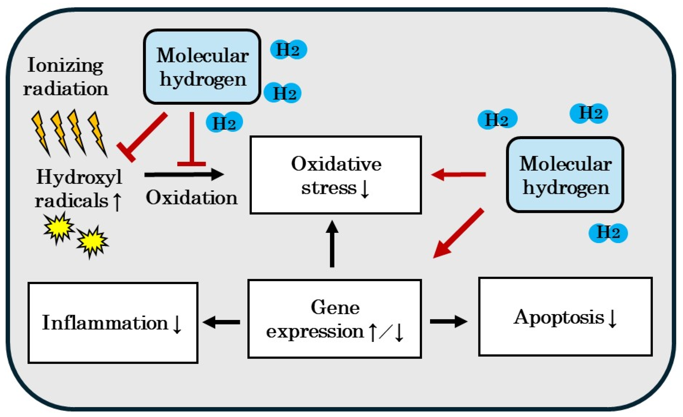 Biomedicines 12 01591 g004 Biomedicines 12 01591 g004