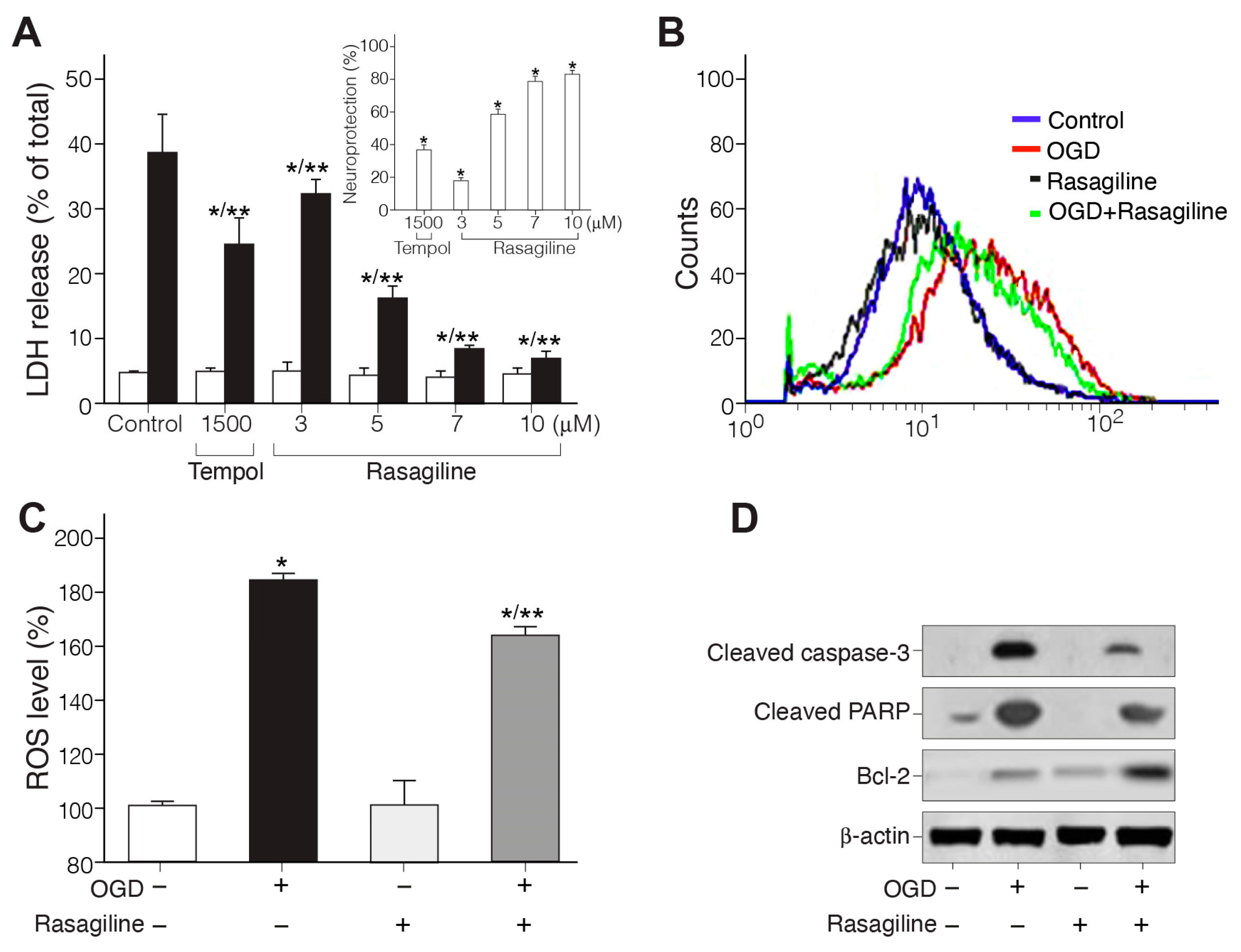 Biomedicines 12 01592 g001
