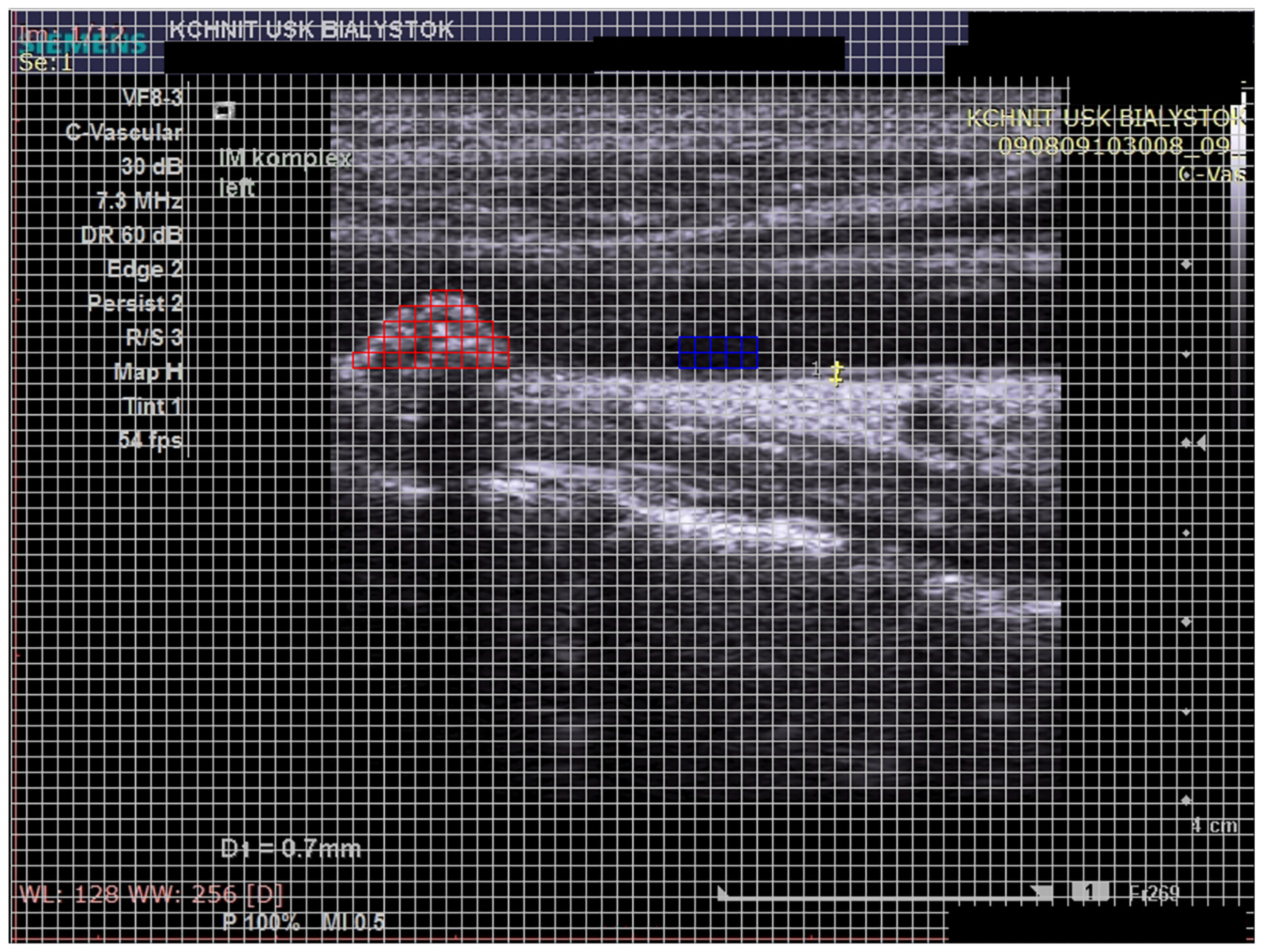 Biomedicines 12 01594 g001