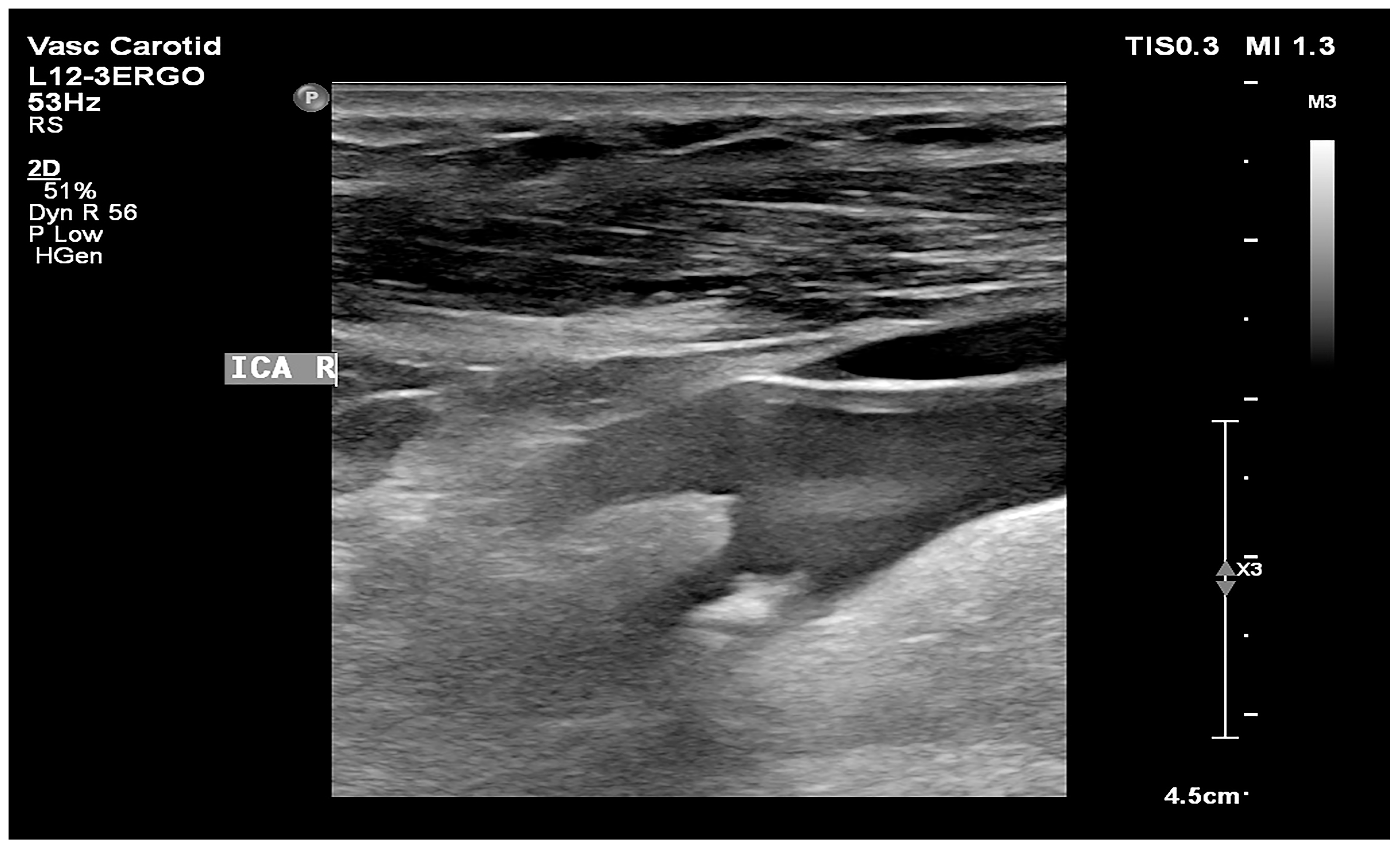 Biomedicines 12 01594 g003