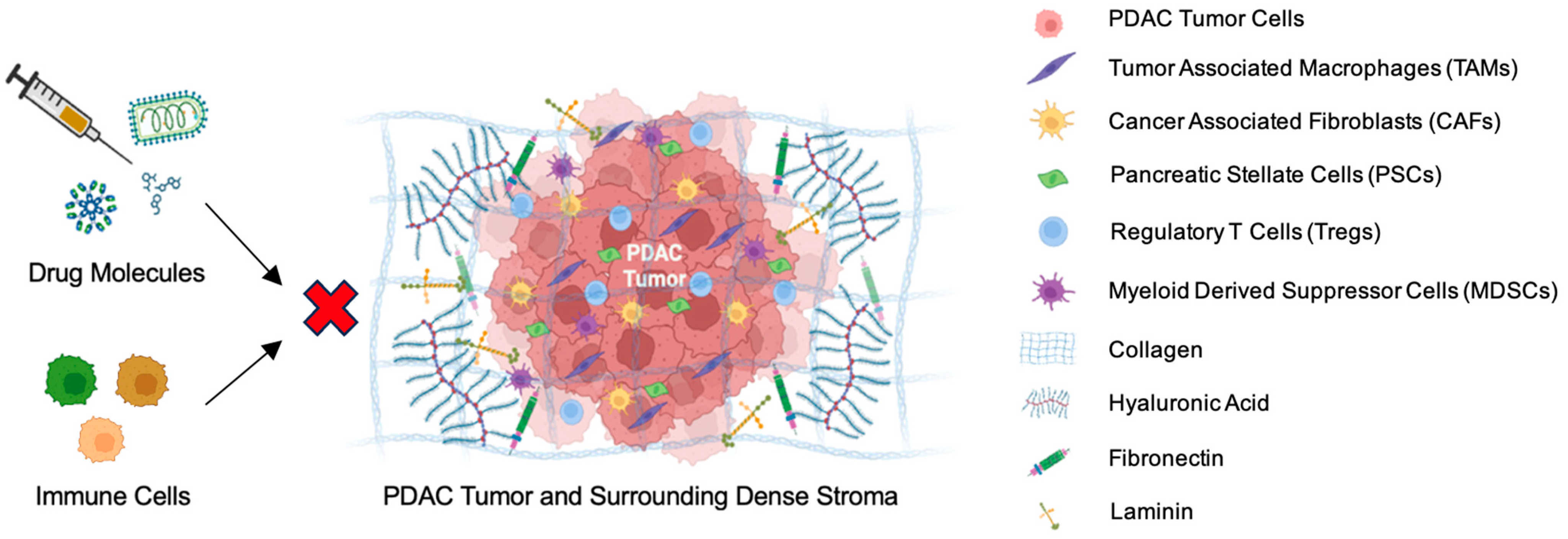 Biomedicines 12 01596 g002