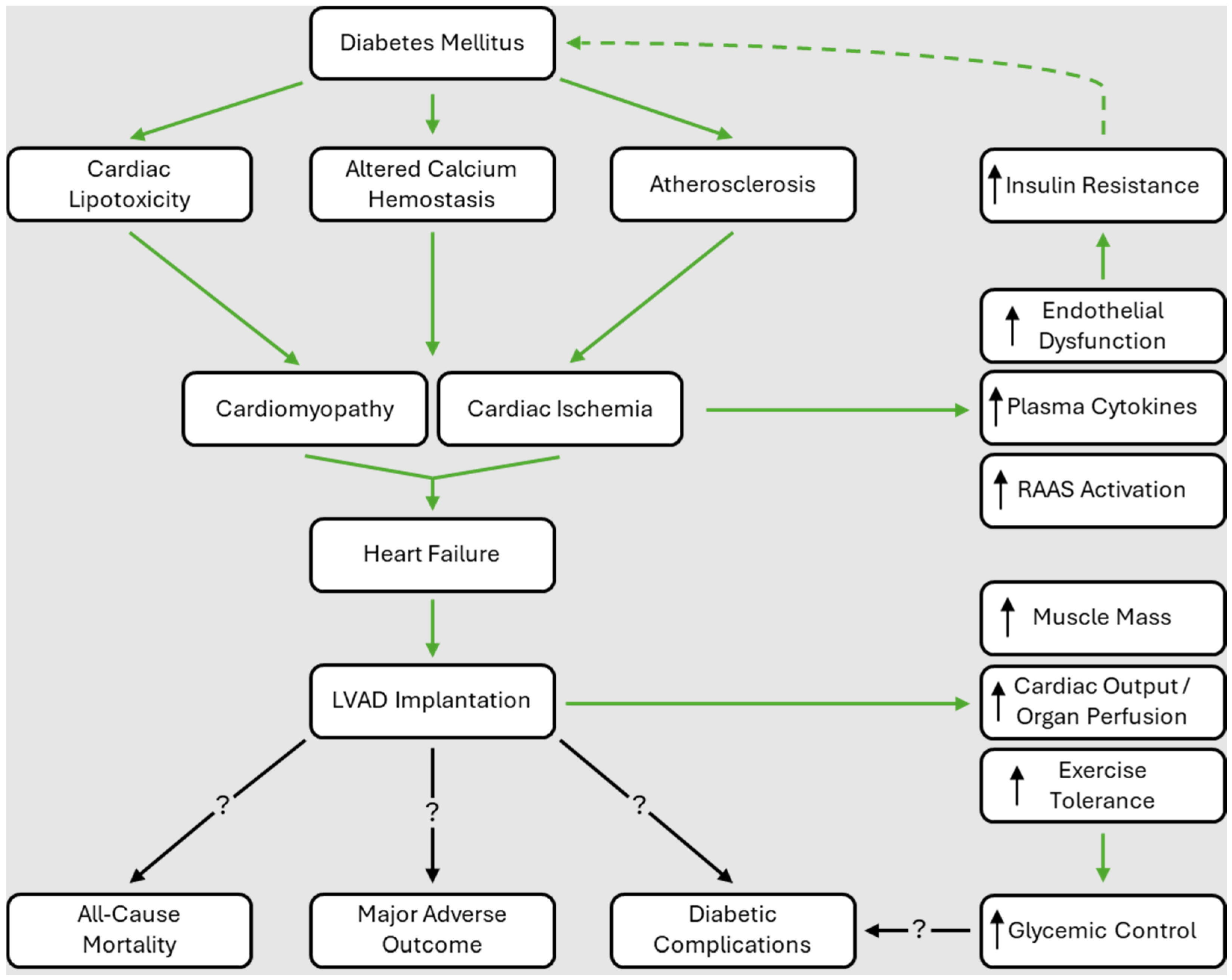Biomedicines 12 01604 g001