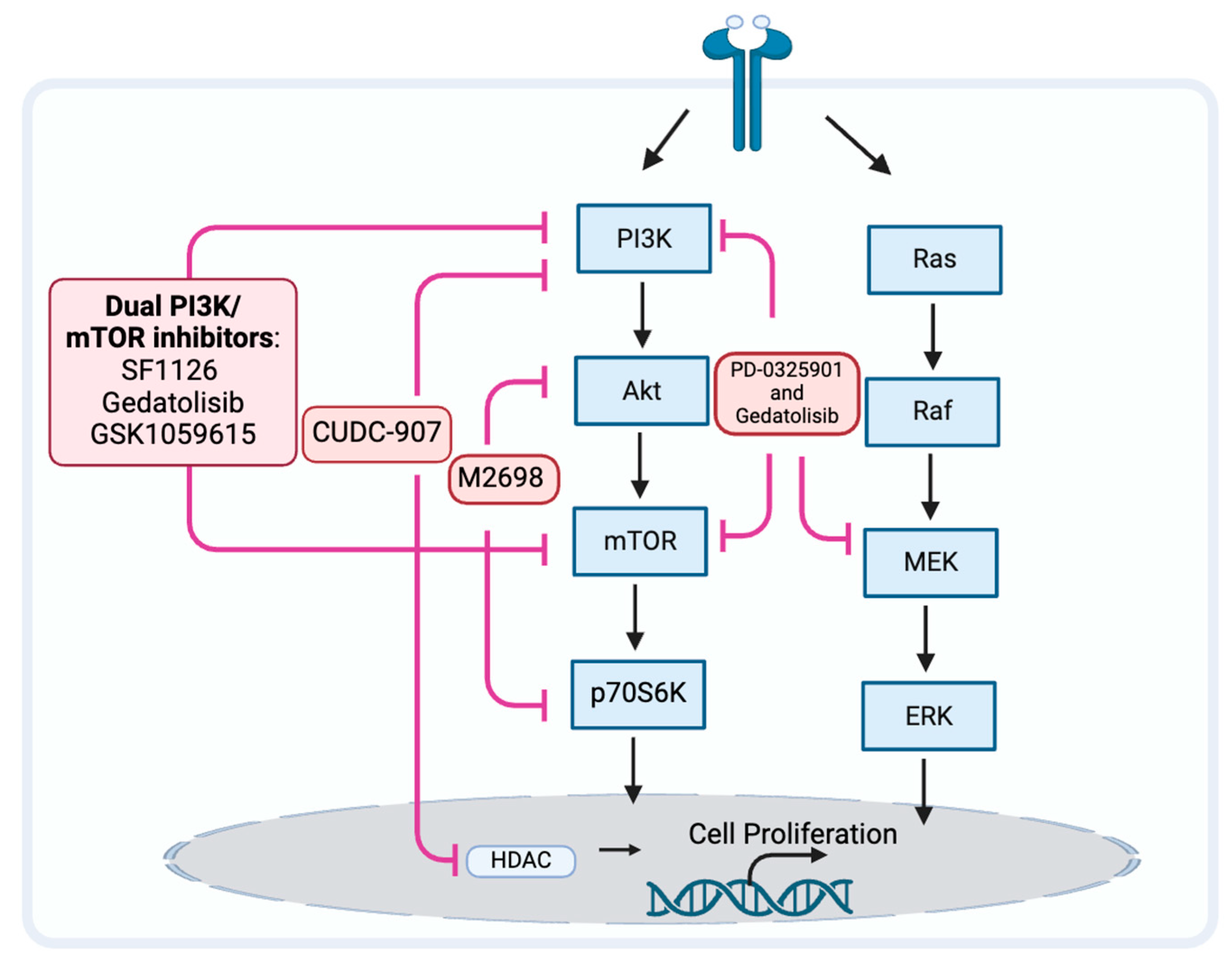 Biomedicines 12 01610 g003