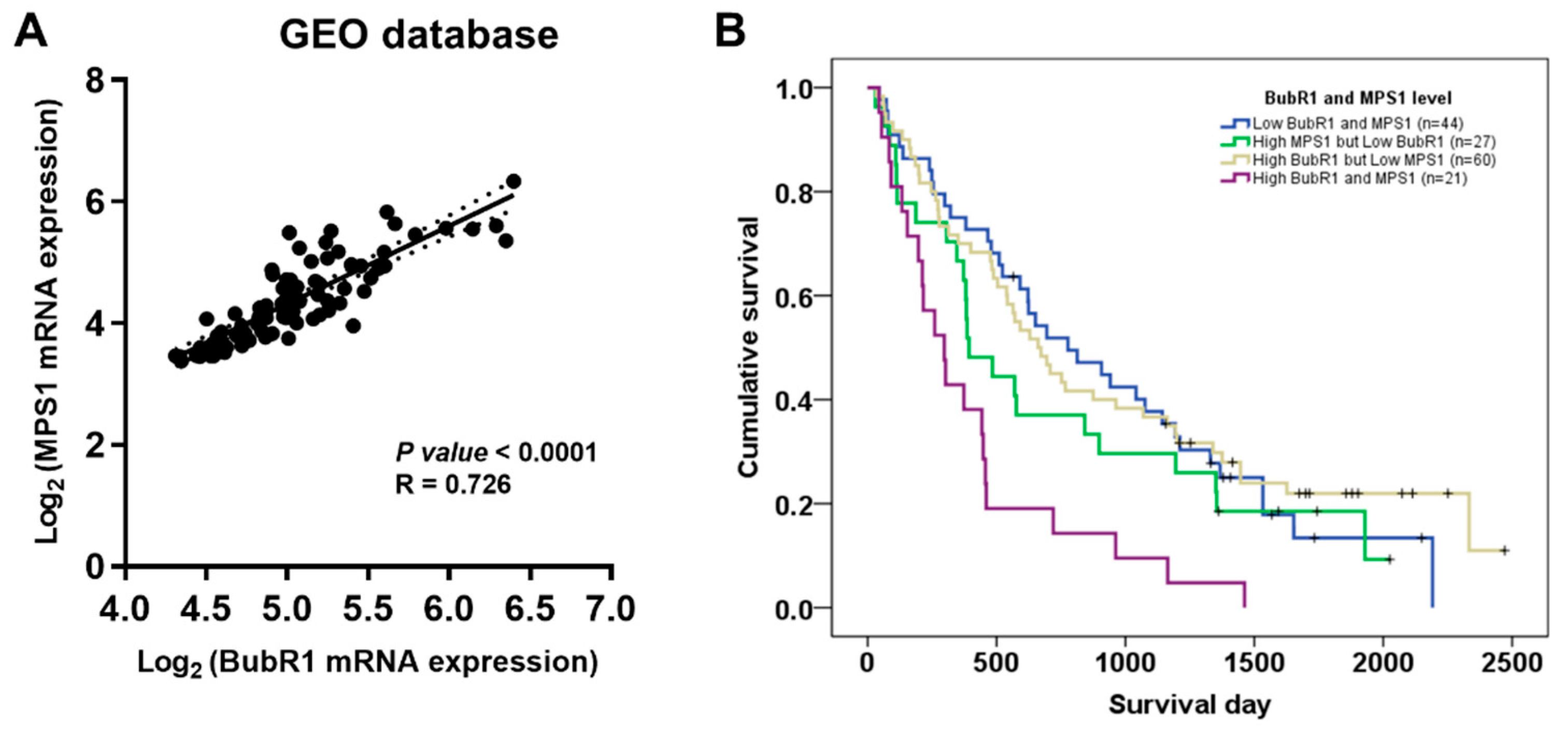 Biomedicines 12 01611 g003