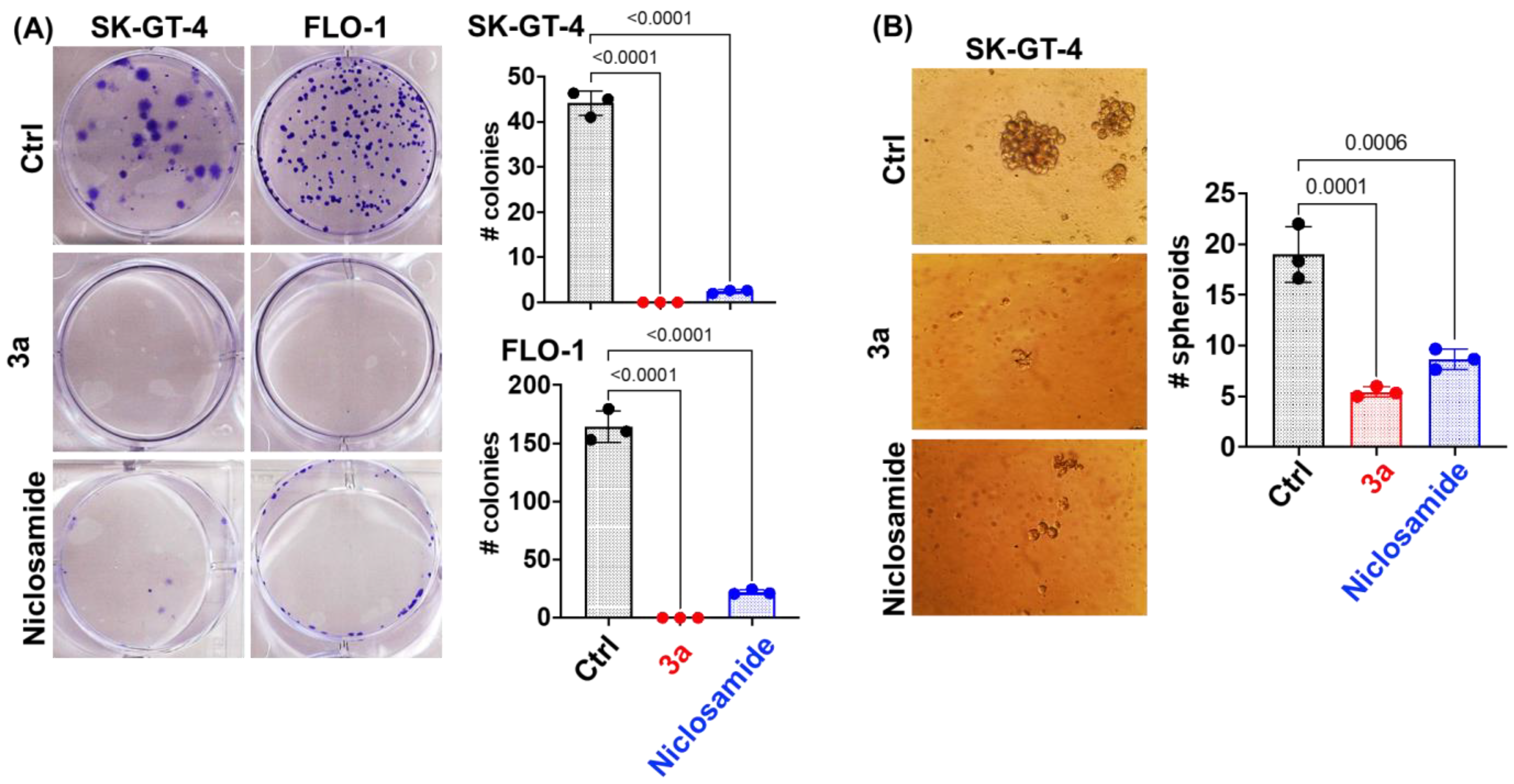 Biomedicines 12 01621 g003