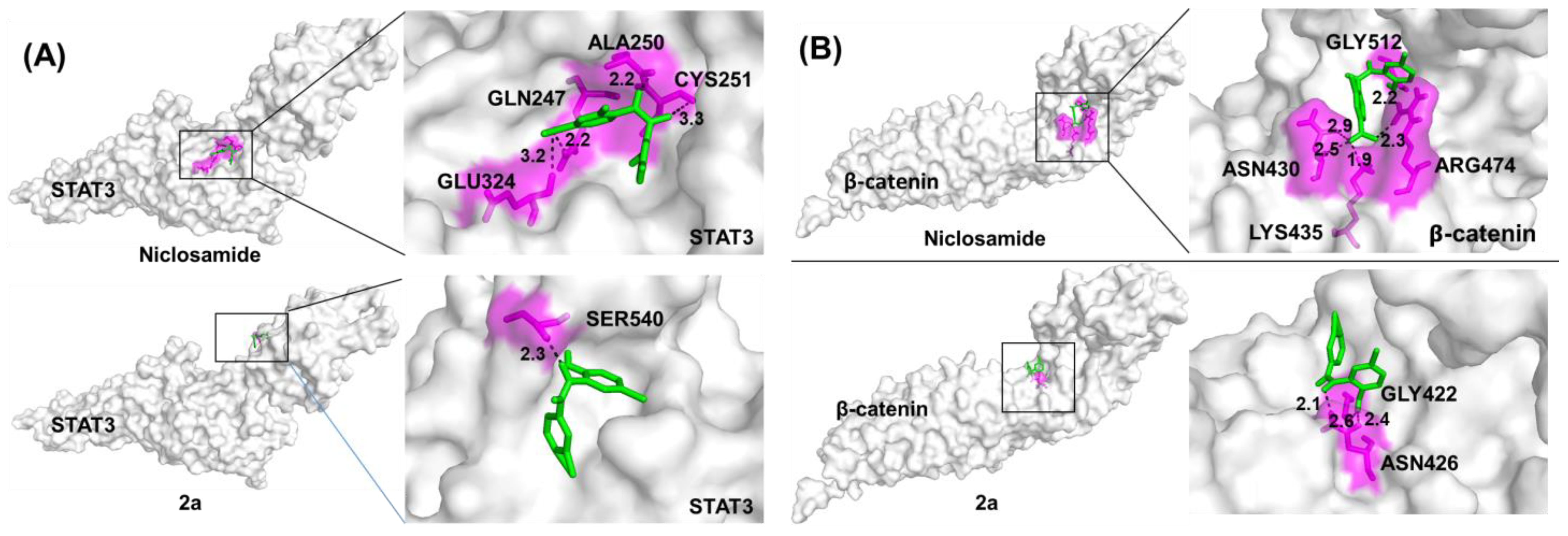Biomedicines 12 01621 g005