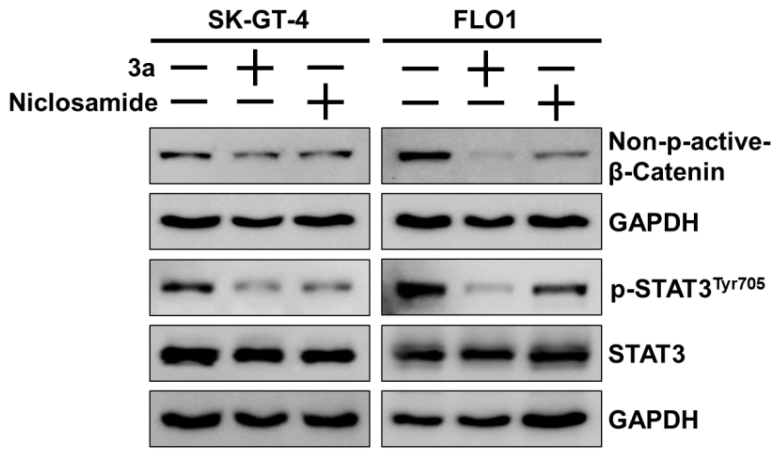 Biomedicines 12 01621 g006