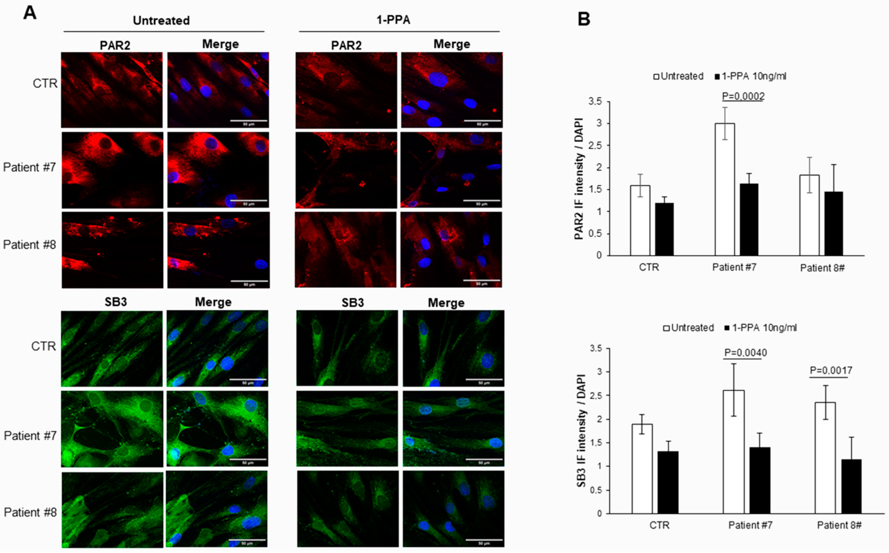 Biomedicines 12 01623 g002