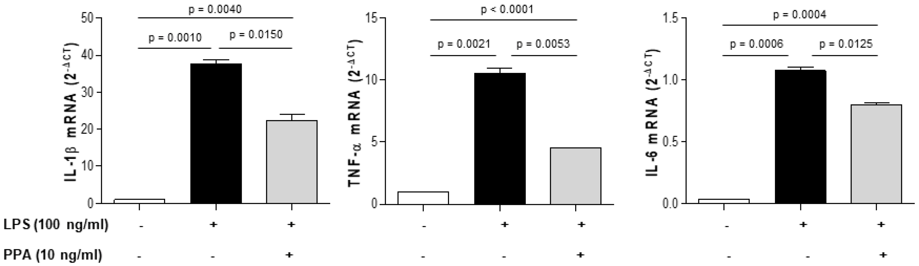 Biomedicines 12 01623 g005