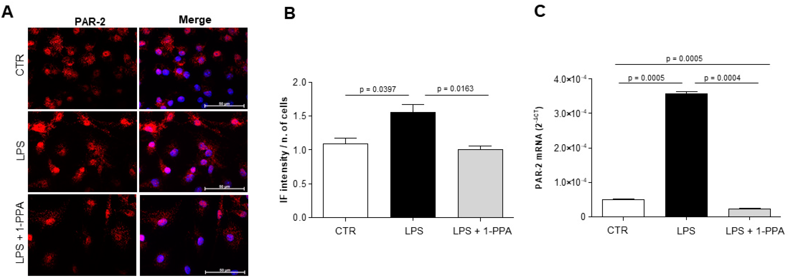 Biomedicines 12 01623 g006