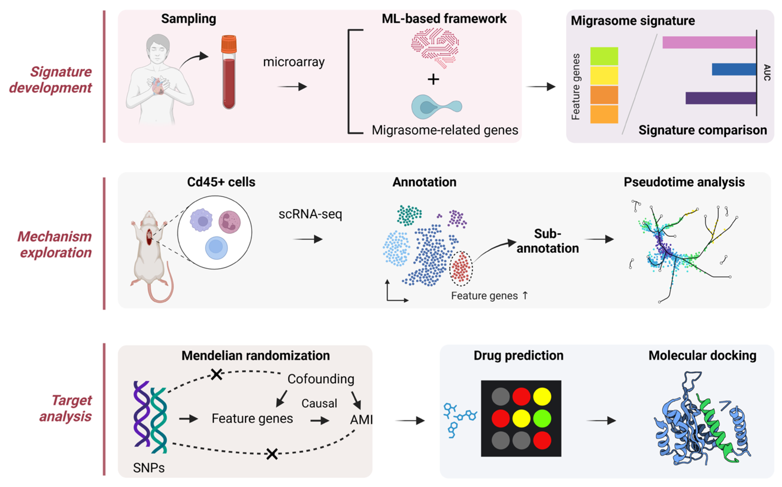 Biomedicines 12 01626 g001