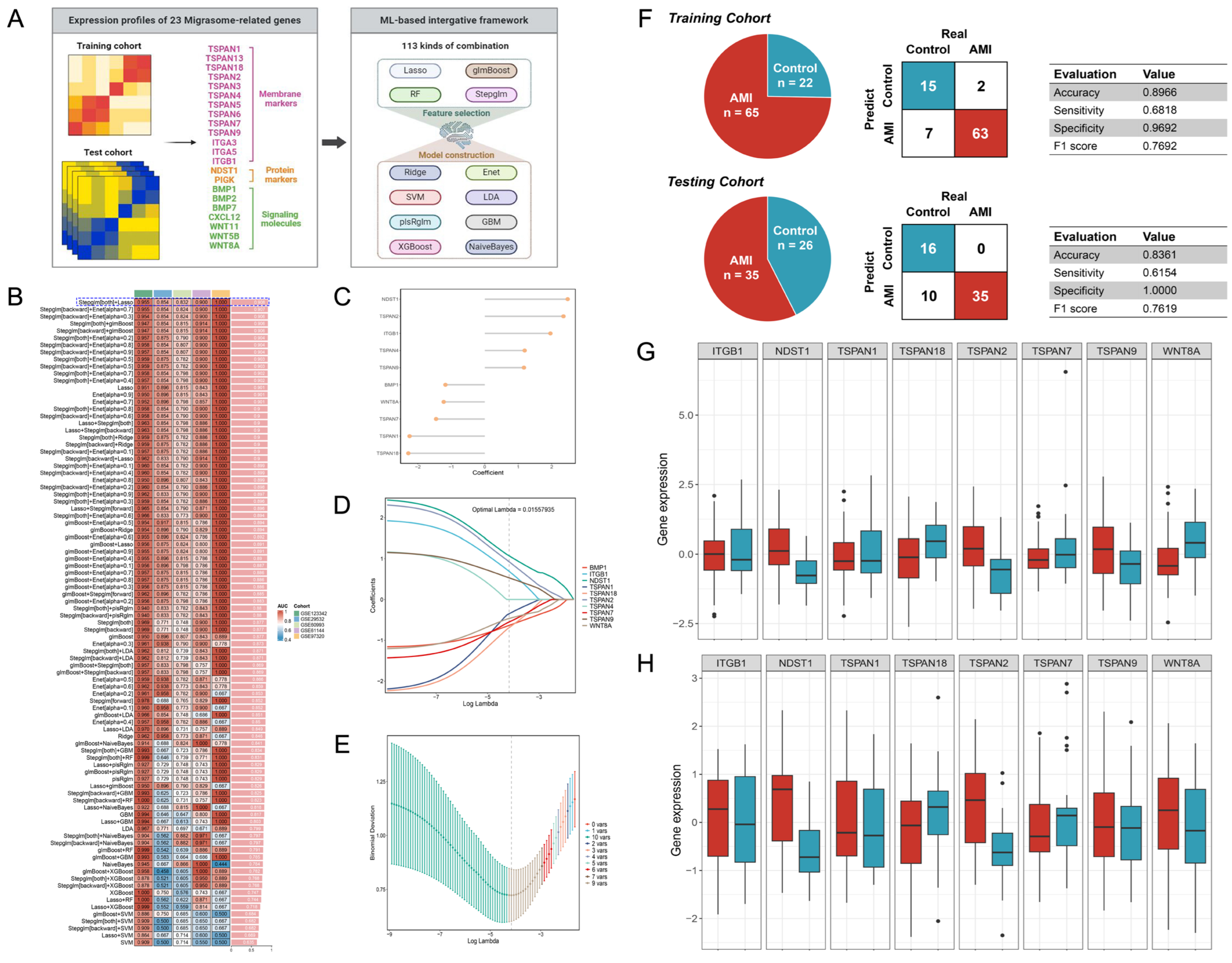 Biomedicines 12 01626 g002