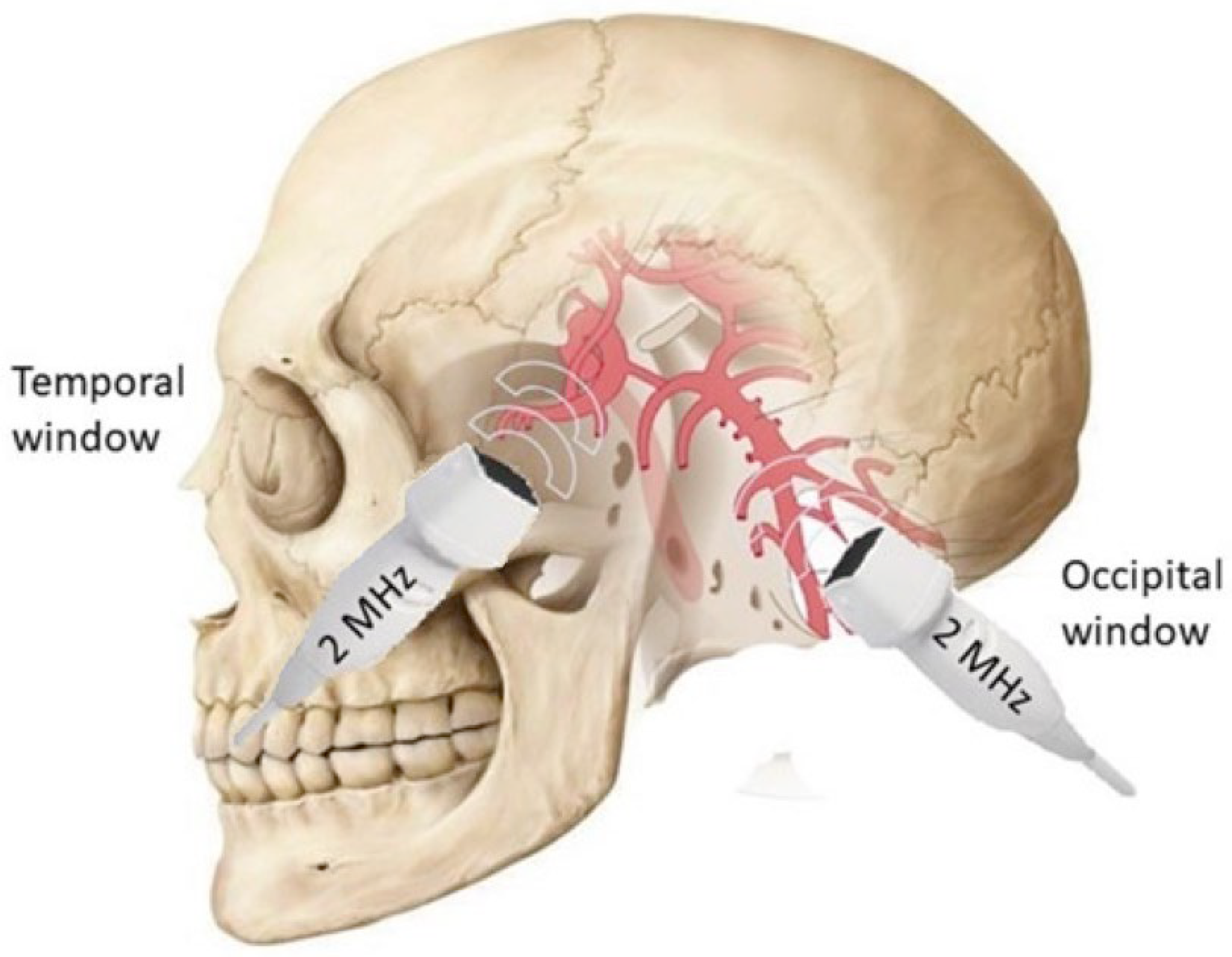 Biomedicines 12 01627 g001