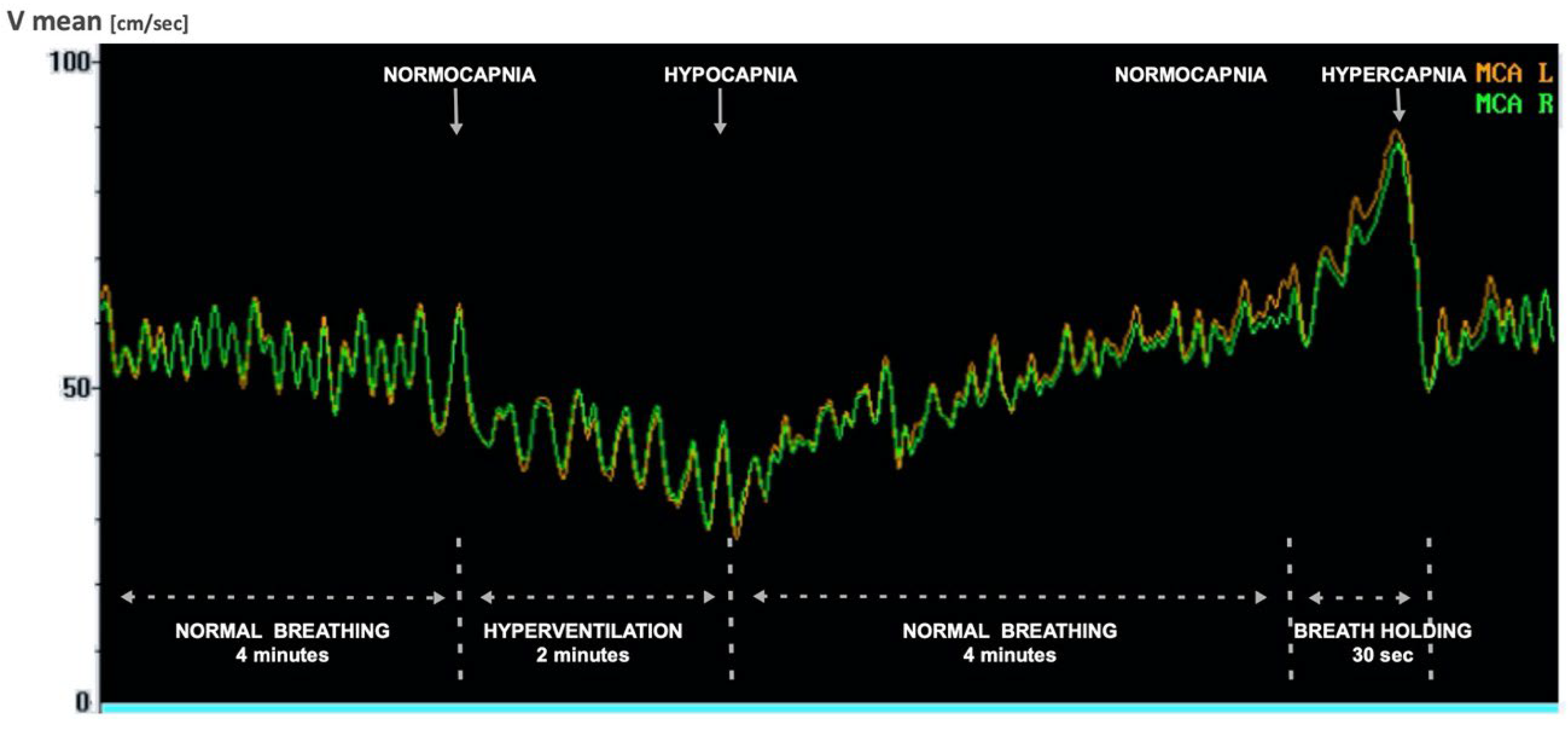 Biomedicines 12 01627 g002