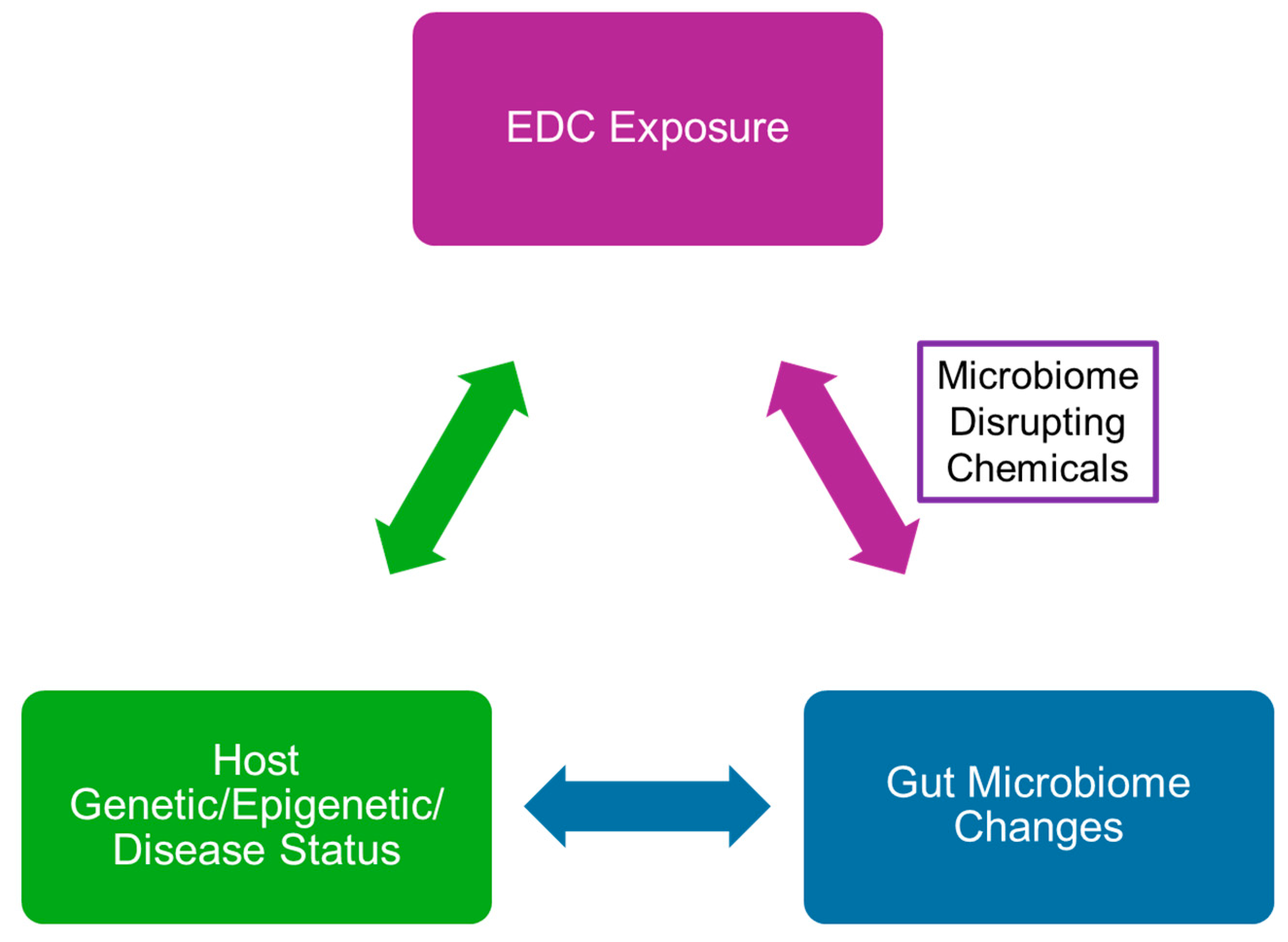 Biomedicines 12 01628 g004