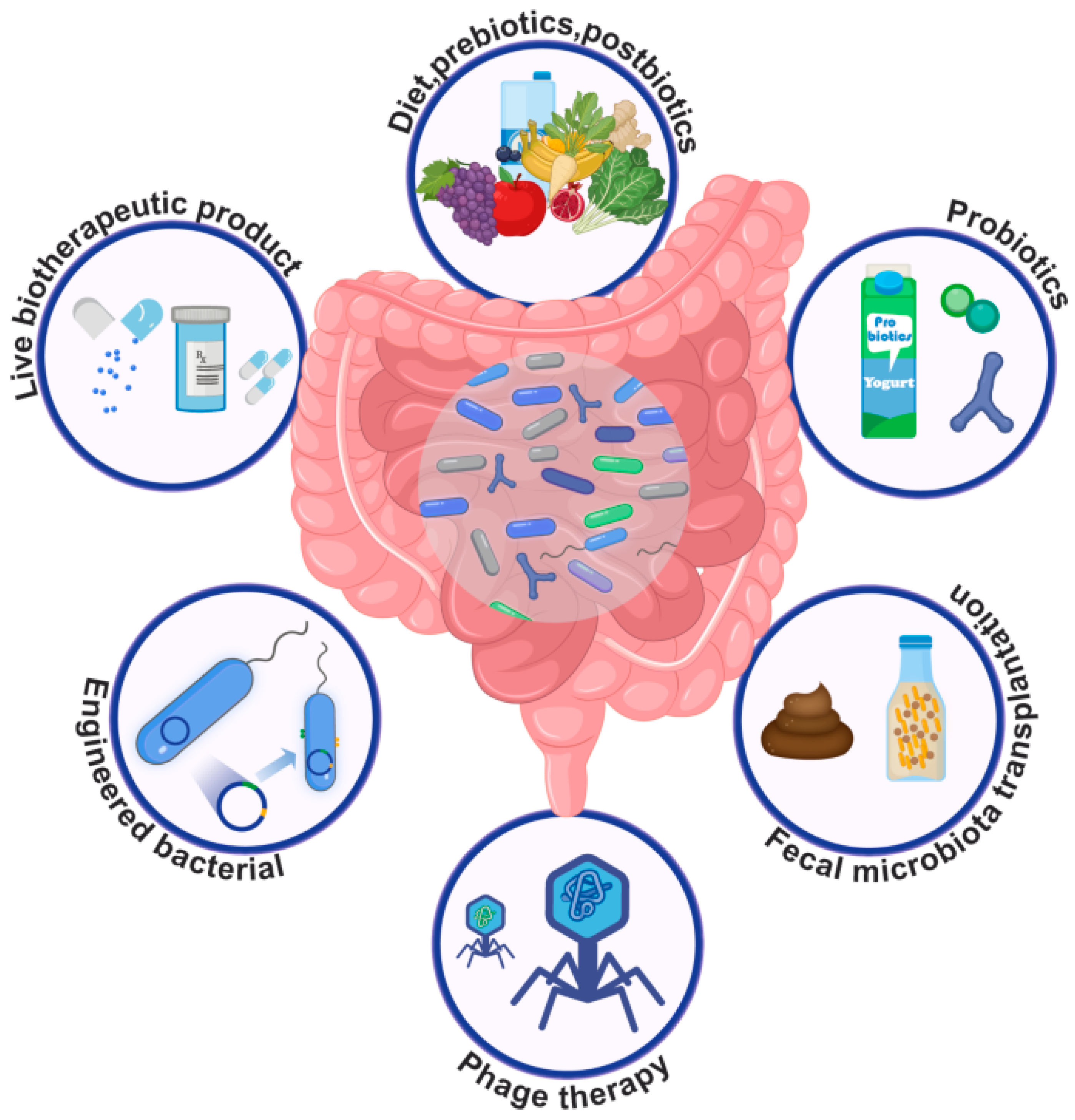 Biomedicines 12 01628 g005