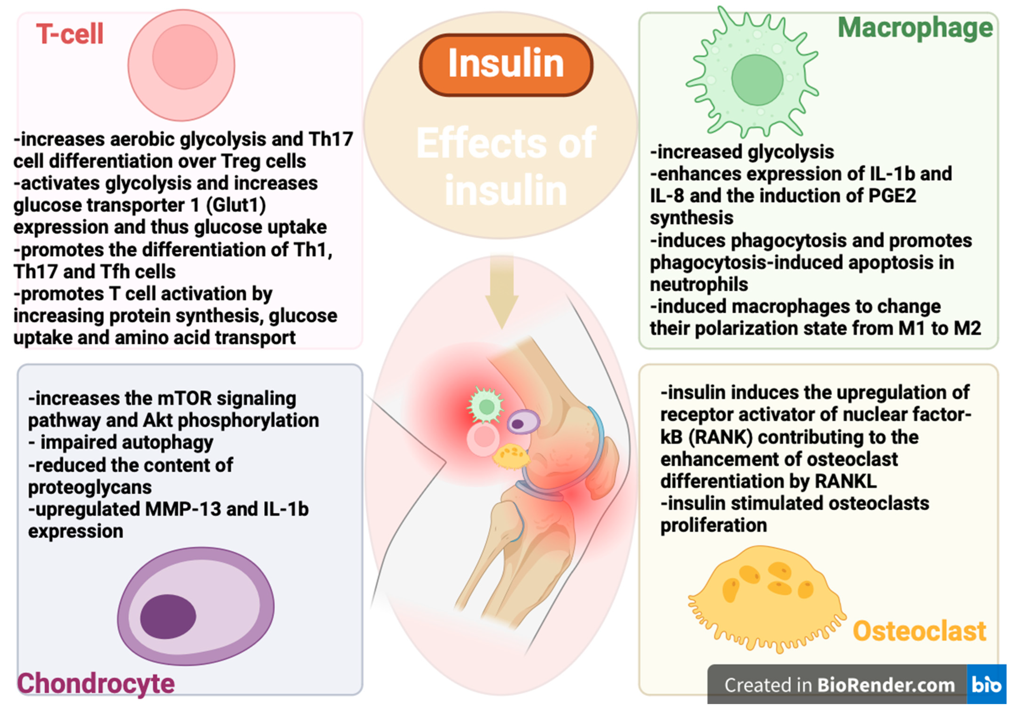 Biomedicines 12 01630 g001 Biomedicines 12 01630 g001