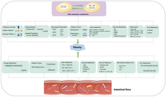 Biomedicines 12 01633 g003
