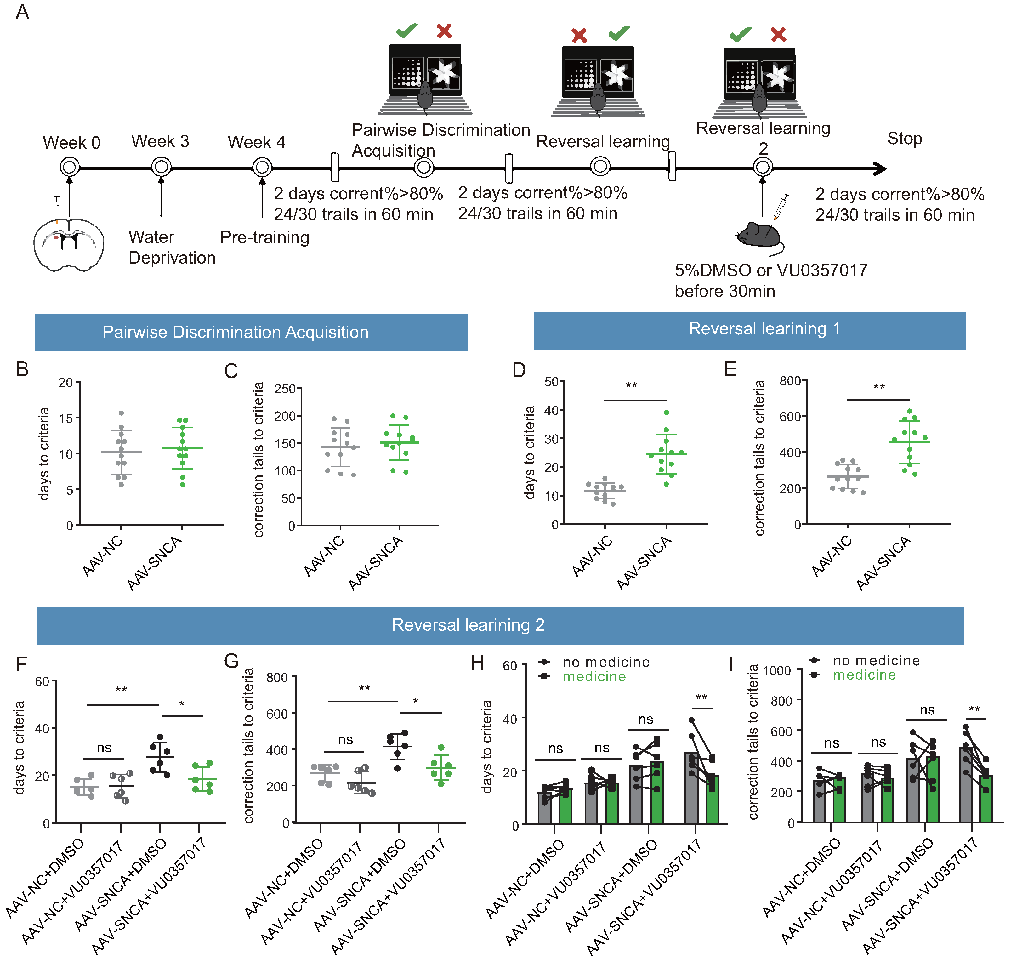 Biomedicines 12 01634 g007