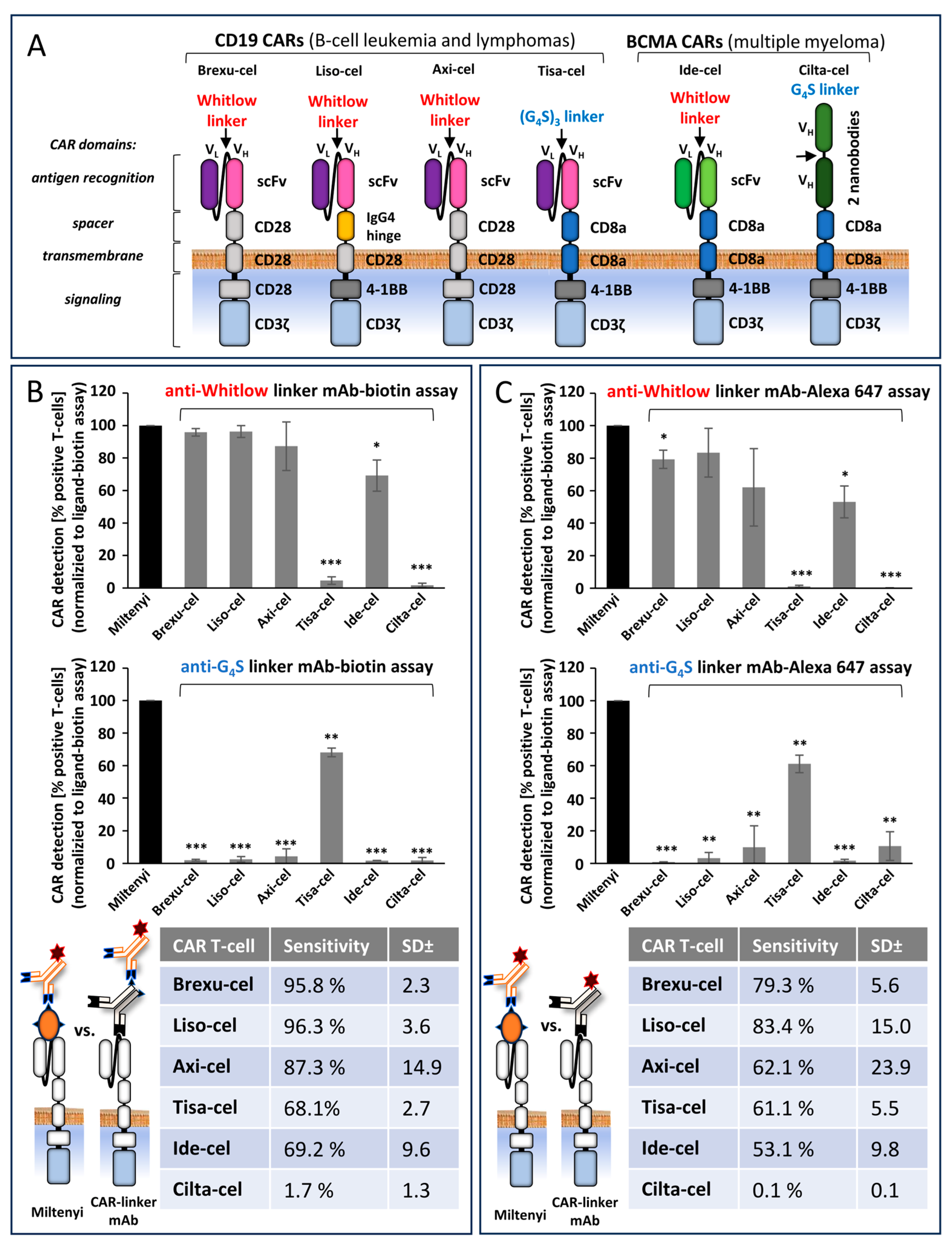 Biomedicines 12 01641 g002 Biomedicines 12 01641 g002