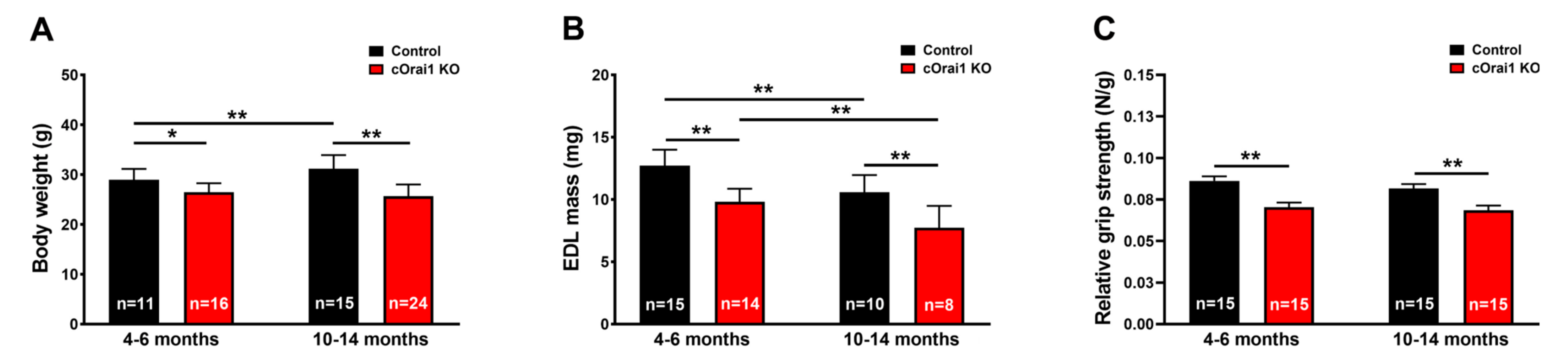 Biomedicines 12 01651 g002