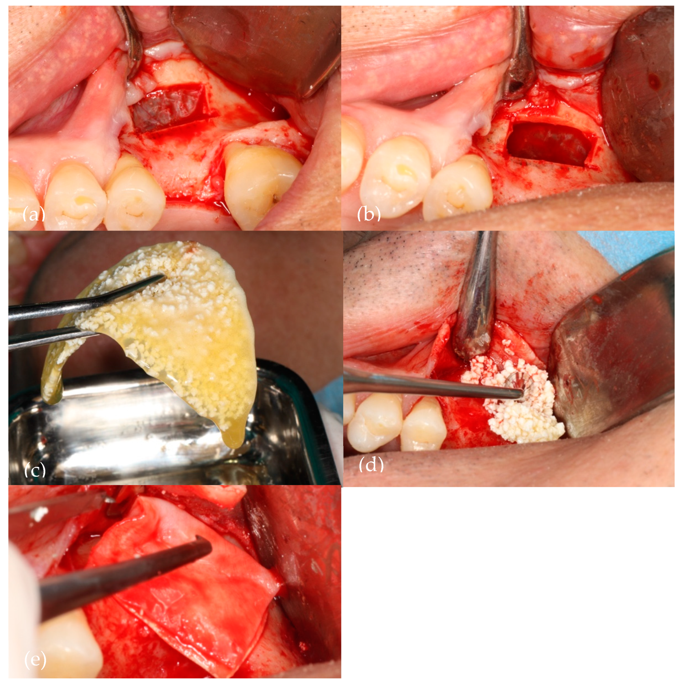 Biomedicines 12 01661 g001