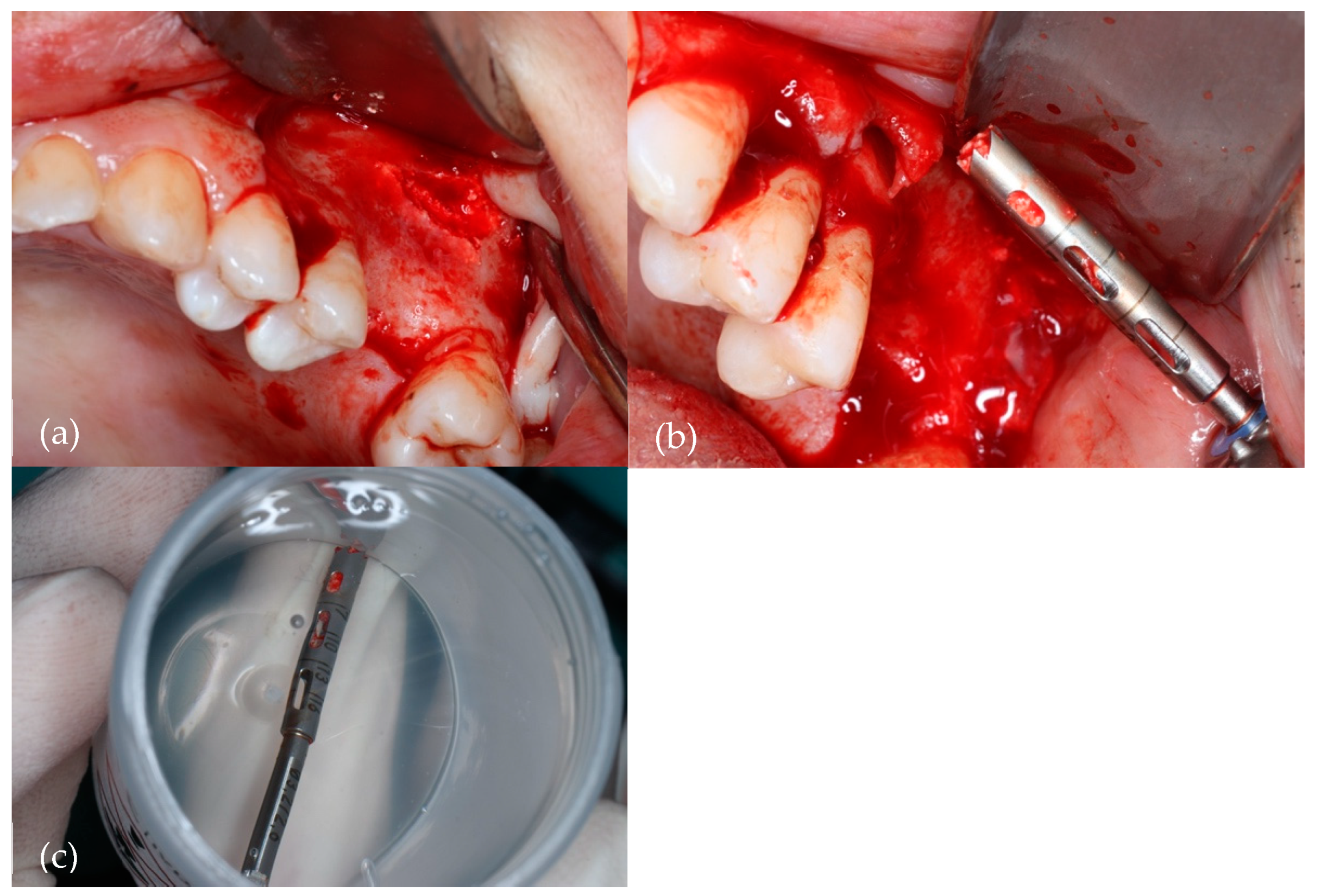 Biomedicines 12 01661 g002