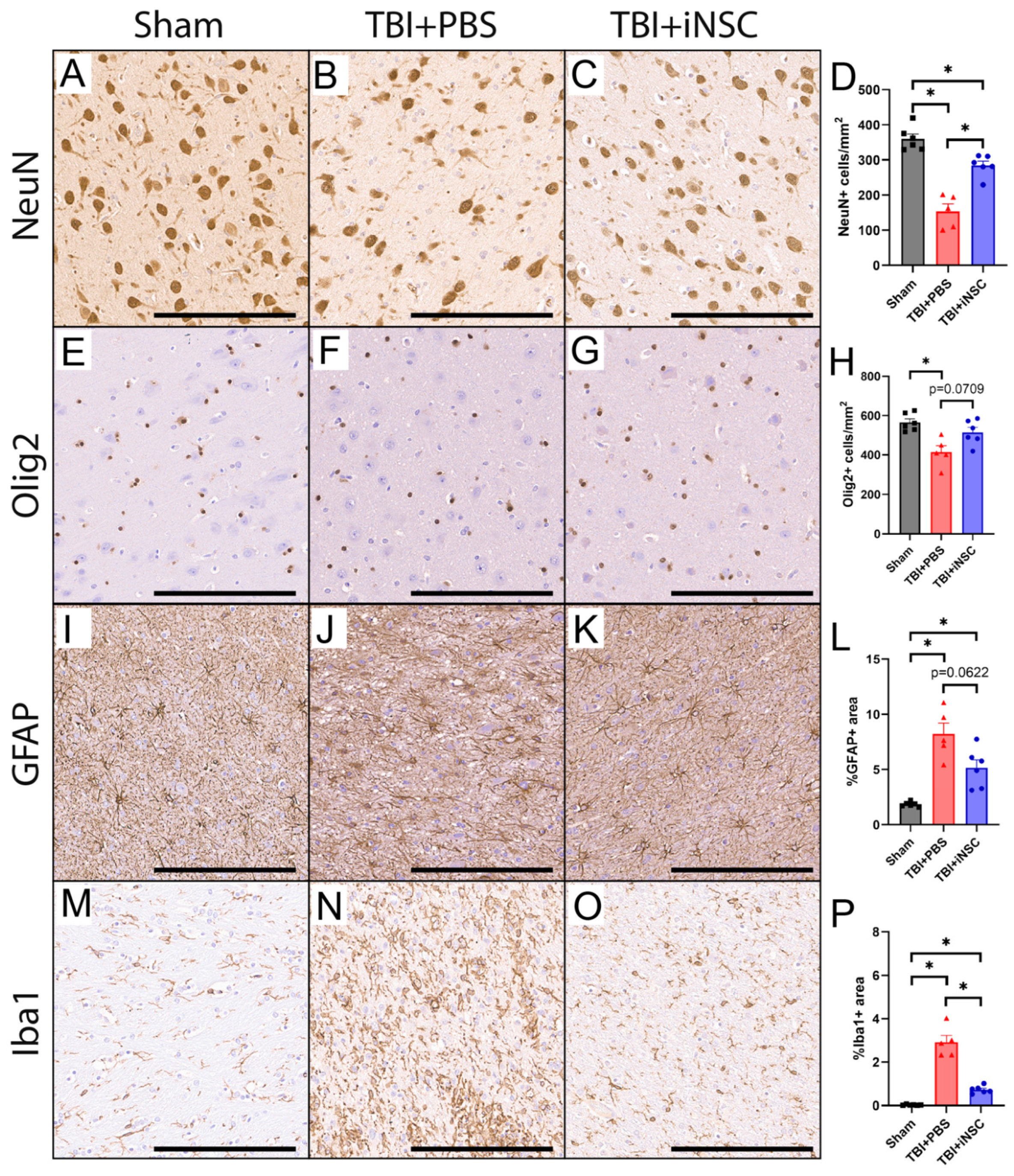 Biomedicines 12 01663 g002