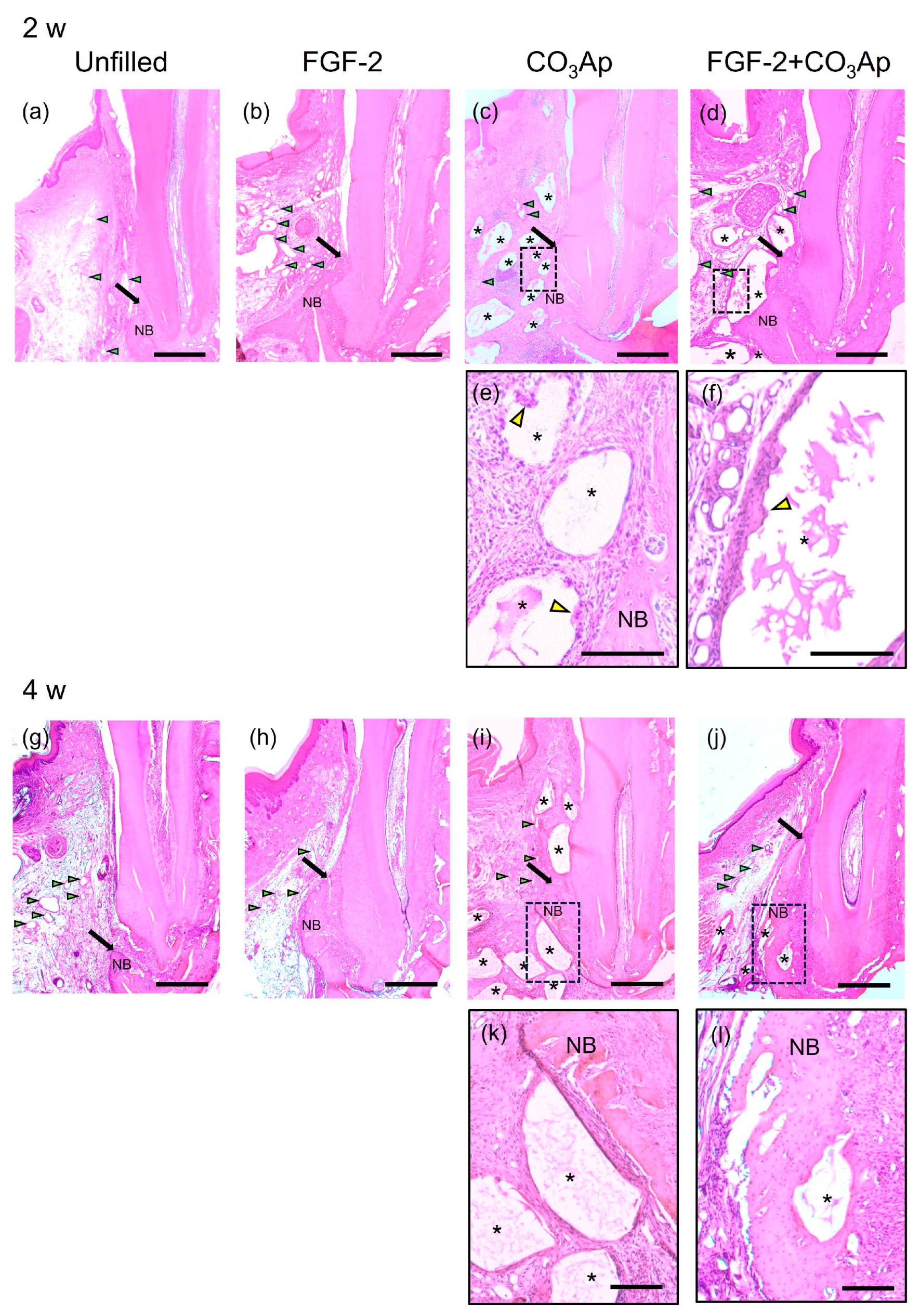 Biomedicines 12 01664 g002